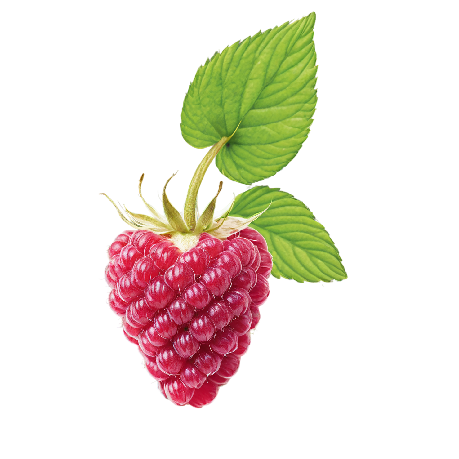 Raspberry fruit with leaf isolated on transparent background #1713