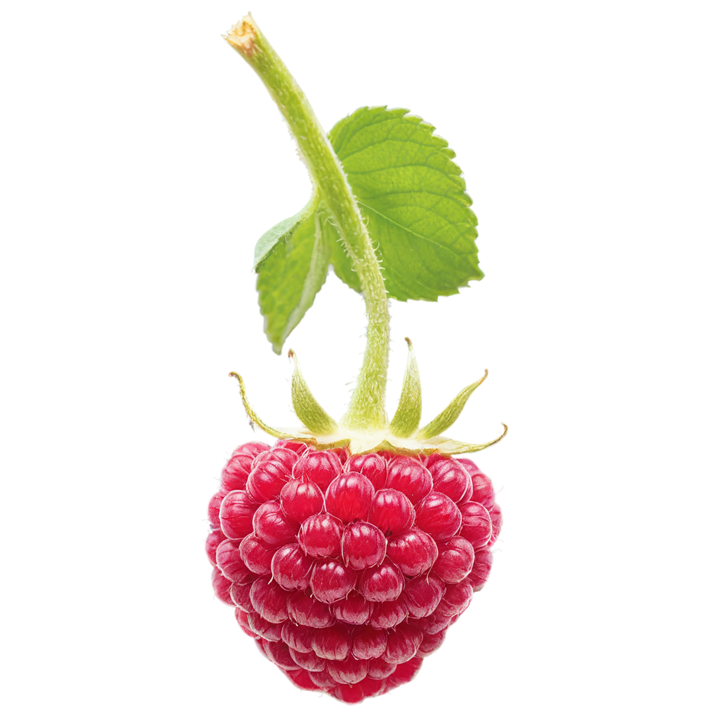 Raspberry fruit with leaf isolated on transparent background #1714