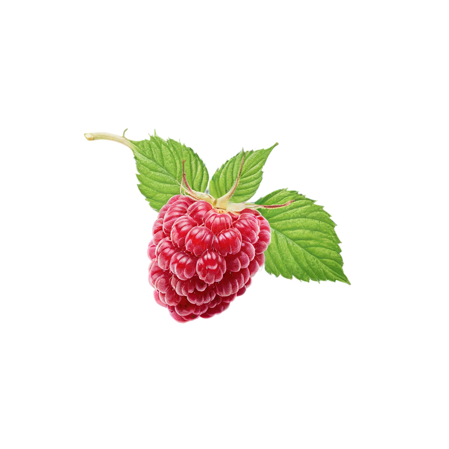 Raspberry fruit with leaf isolated on transparent background #1715