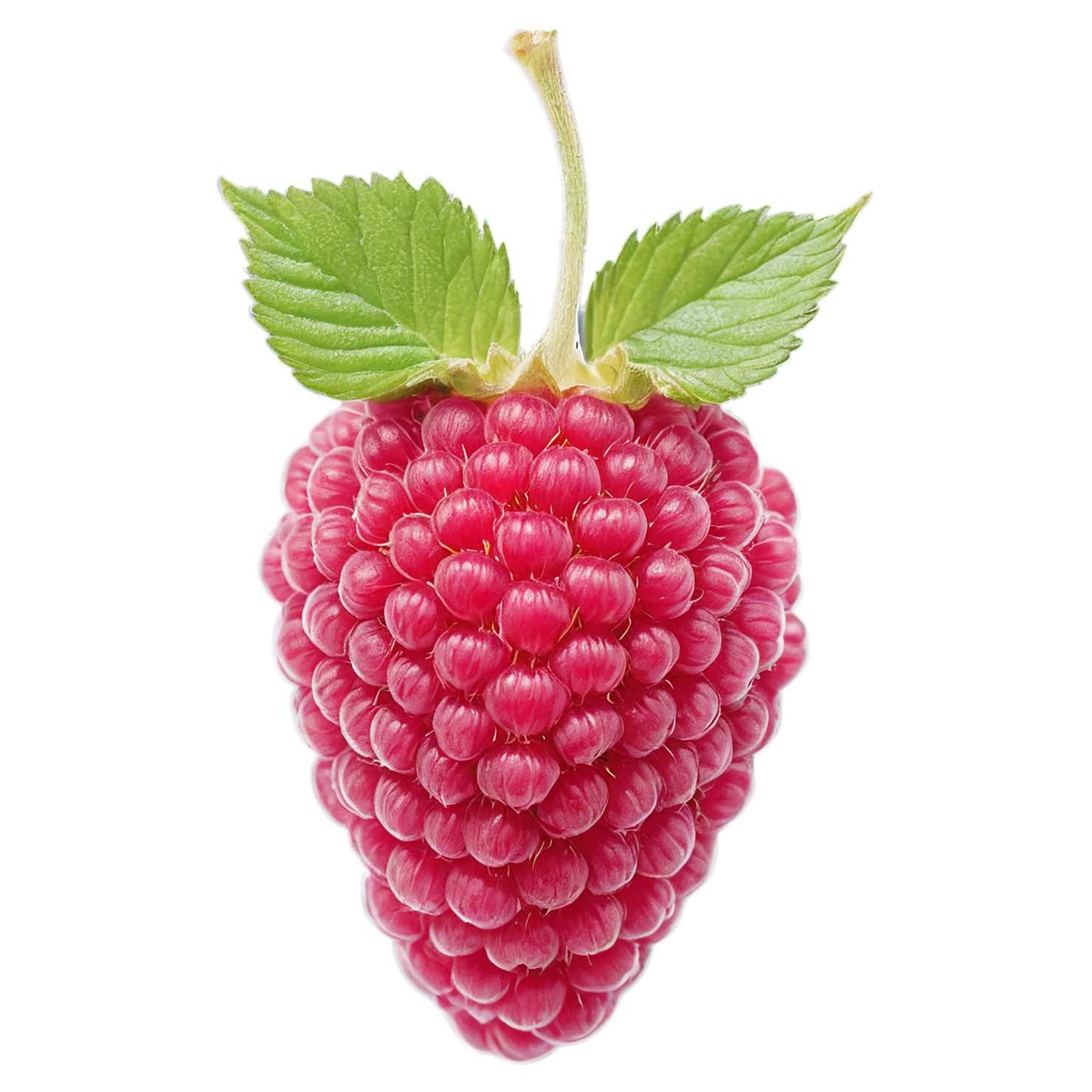 Raspberry fruit with leaf isolated on transparent background #1719