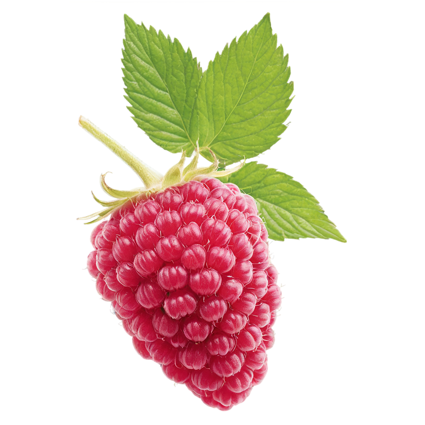 Raspberry fruit with leaf isolated on transparent background #1720