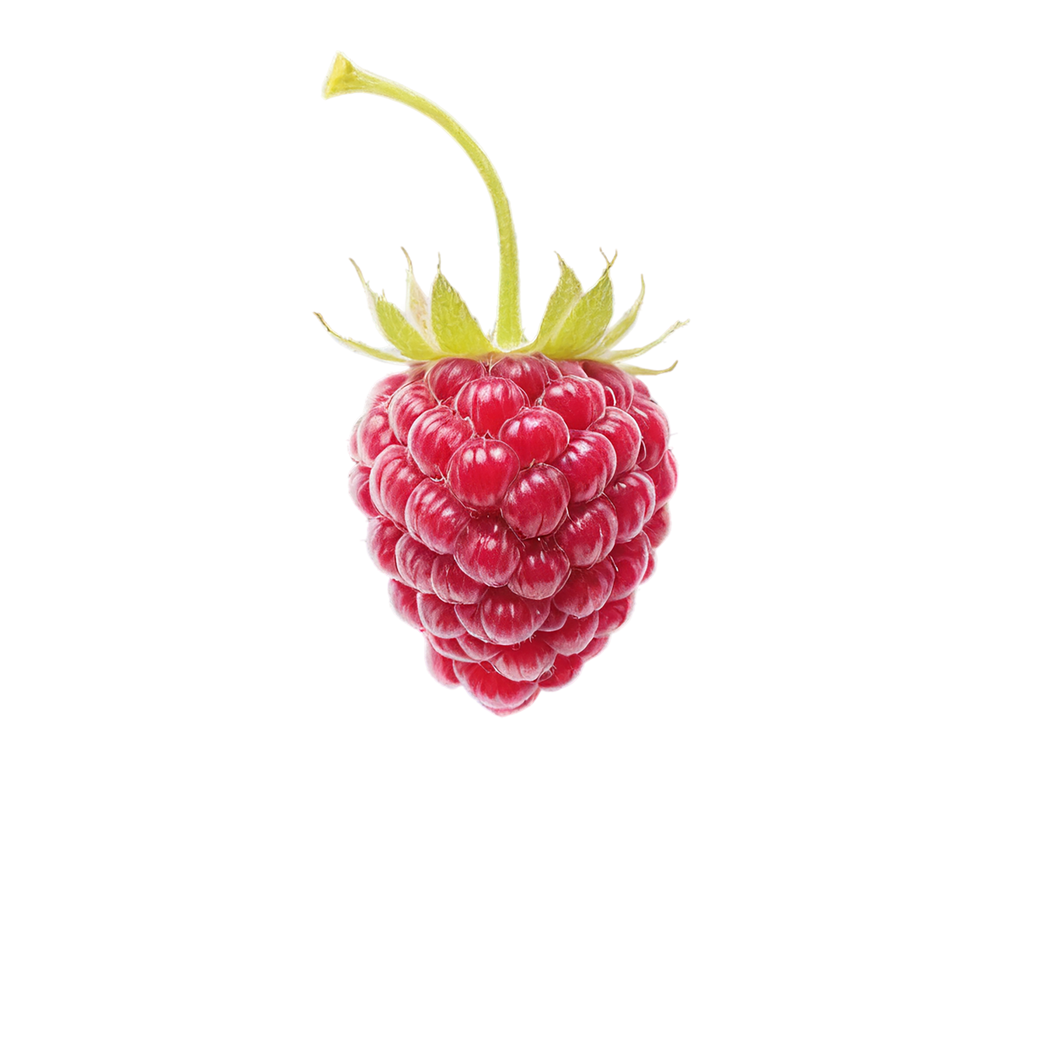 Raspberry fruit isolated on transparent background #1725