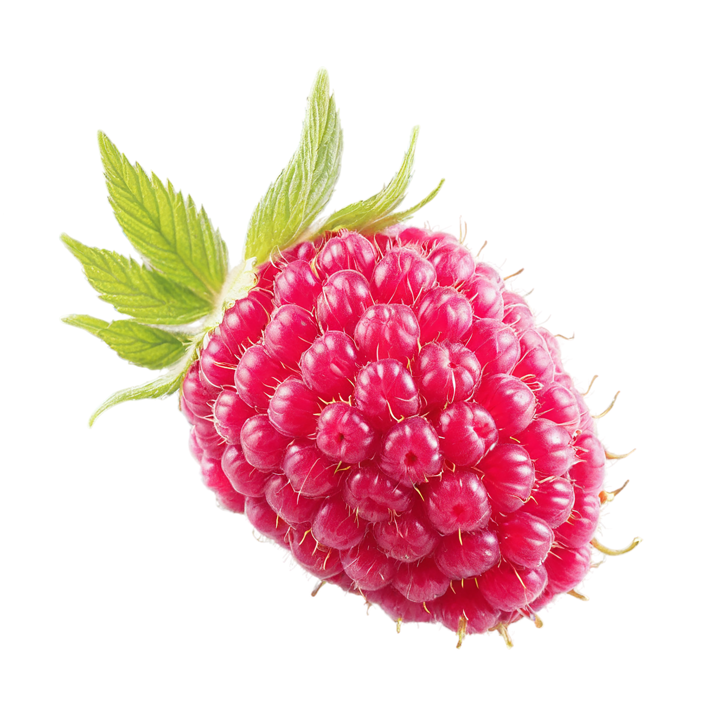 Raspberry fruit isolated on transparent background #1726