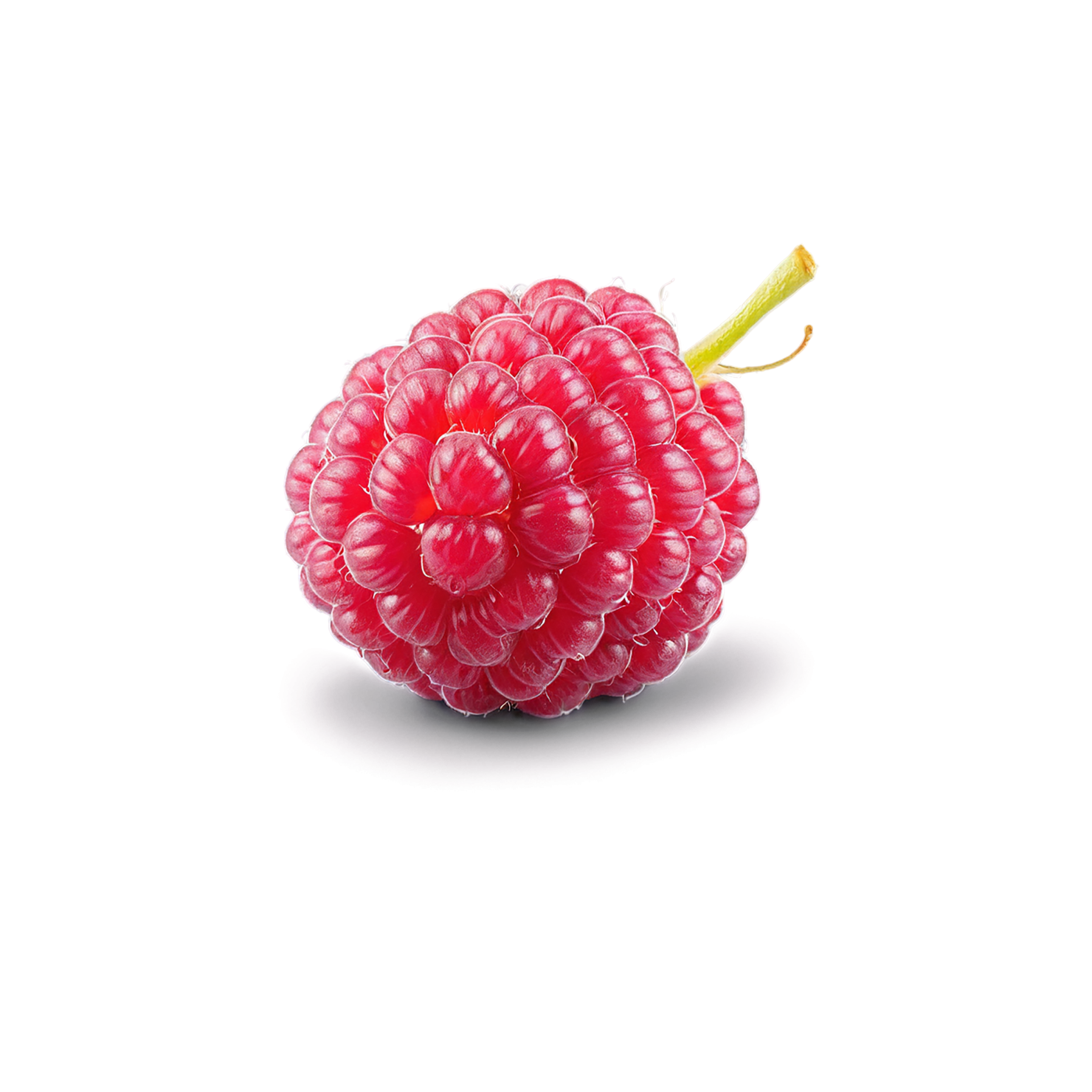 Raspberry fruit isolated on transparent background #1729