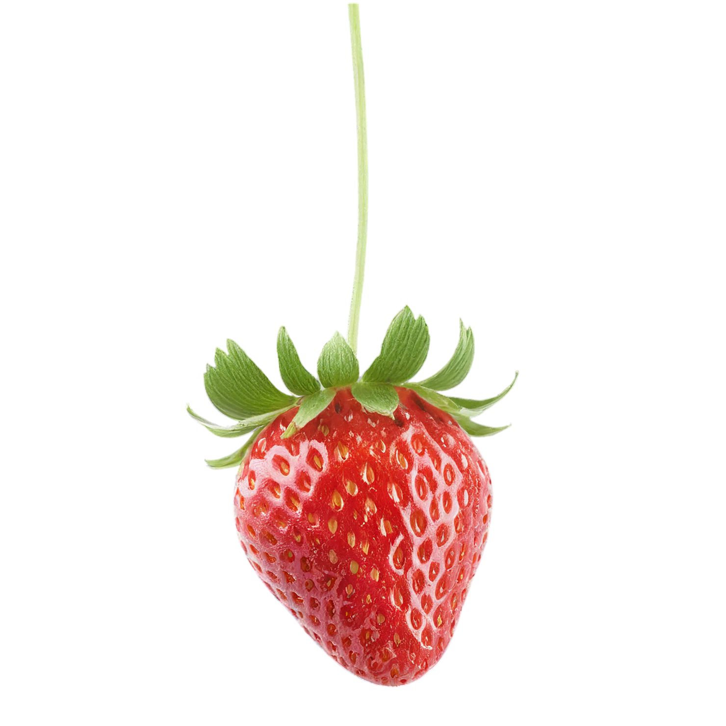 Strawberry fruit isolated on transparent background #1745