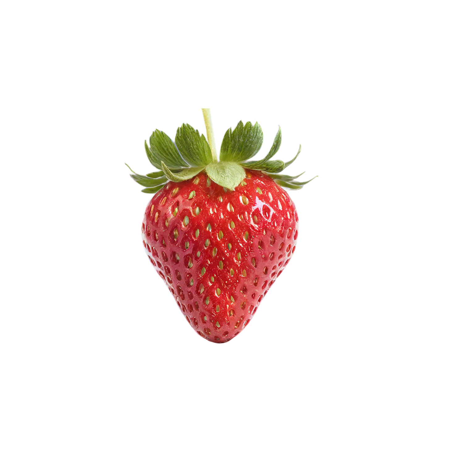 Strawberry fruit isolated on transparent background #1769