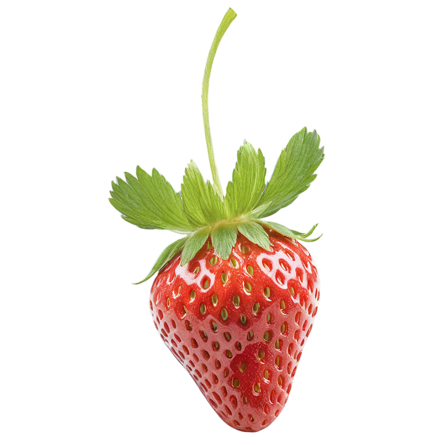 Strawberry fruit isolated on transparent background #1795