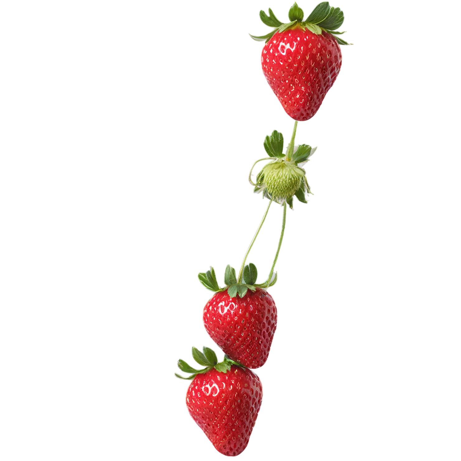Strawberry fruit isolated on transparent background #1815