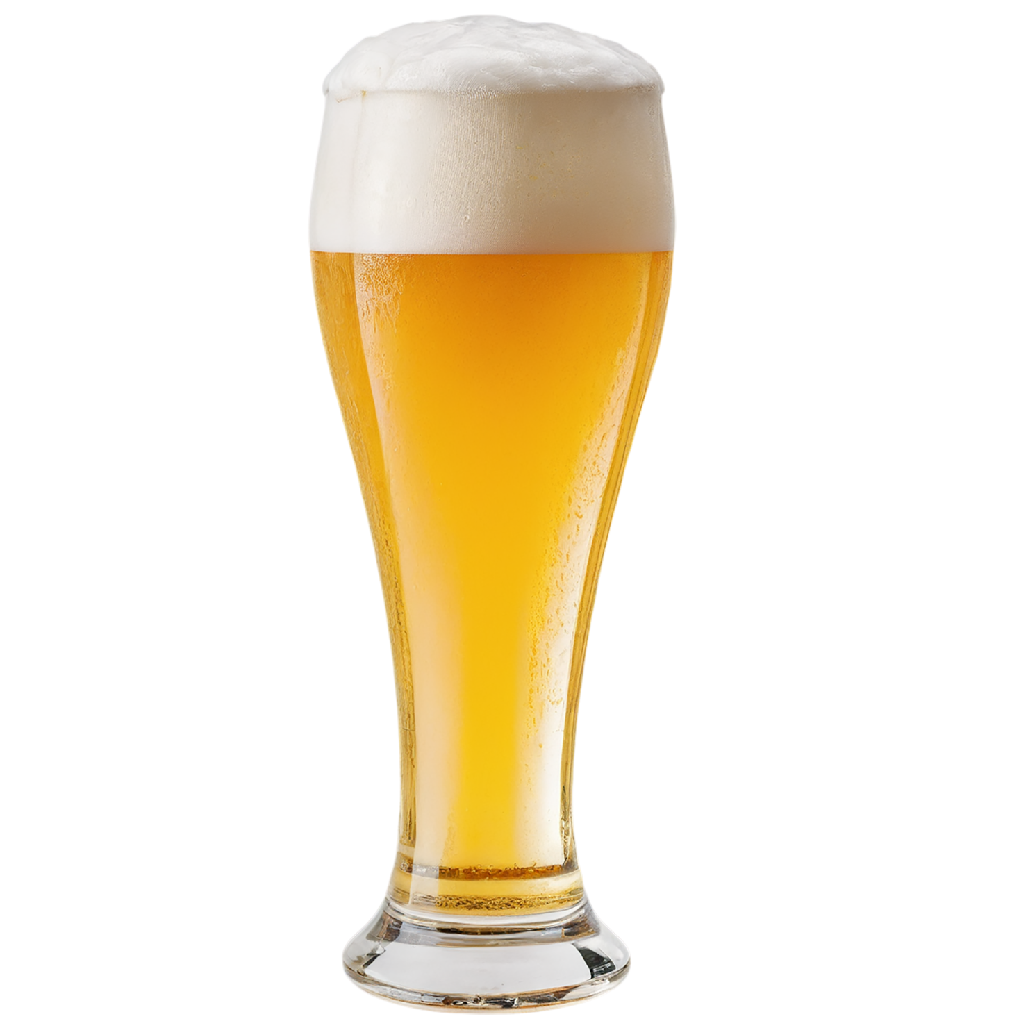 A glass of beer isolated on transparent background #1943