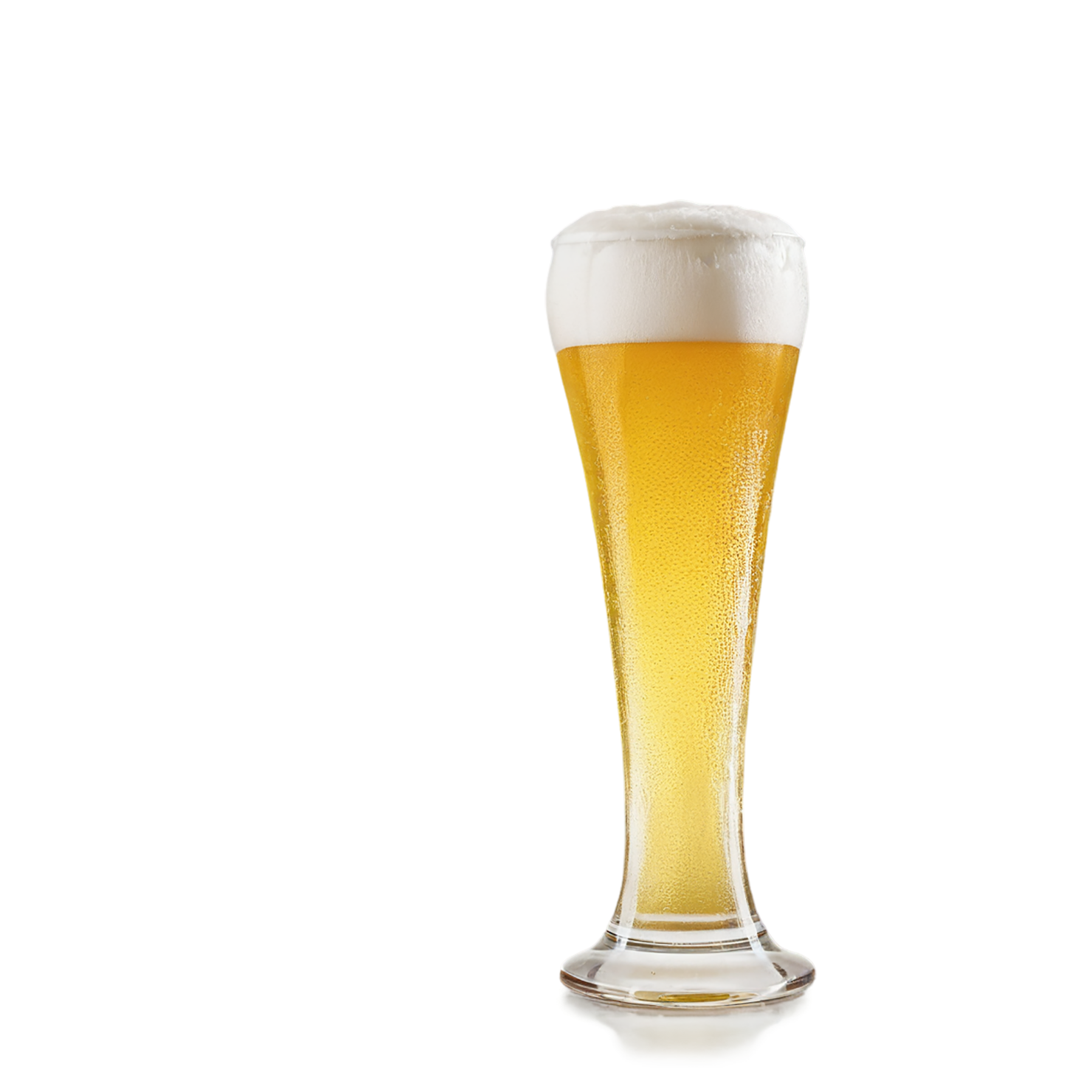 A glass of beer isolated on transparent background #1946