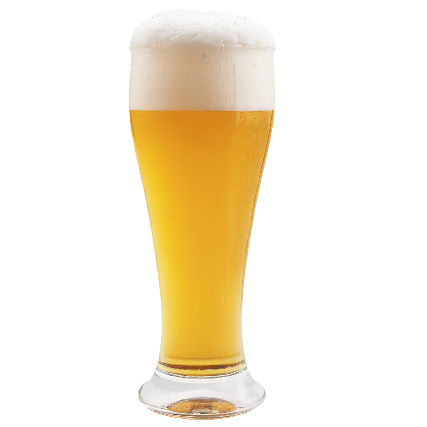 A glass of beer isolated on transparent background #1951
