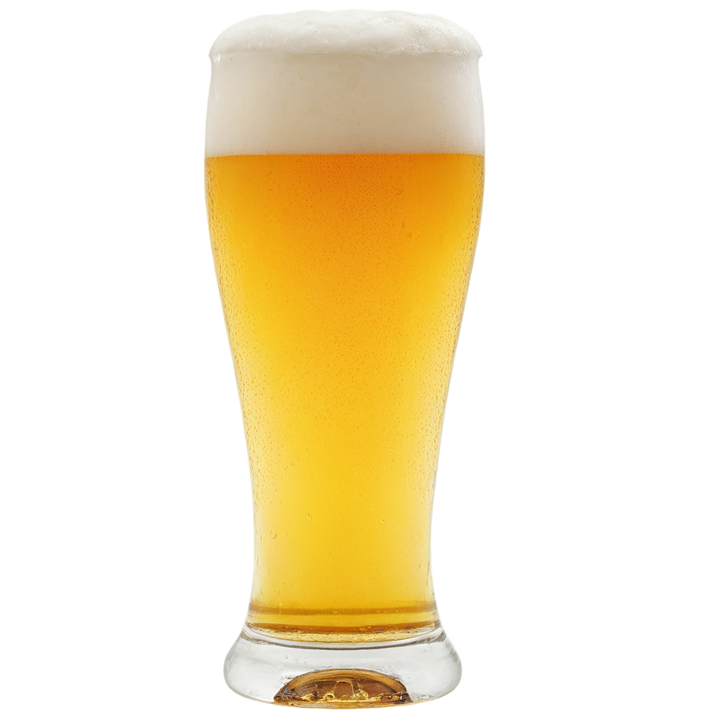 A glass of beer isolated on transparent background #1952