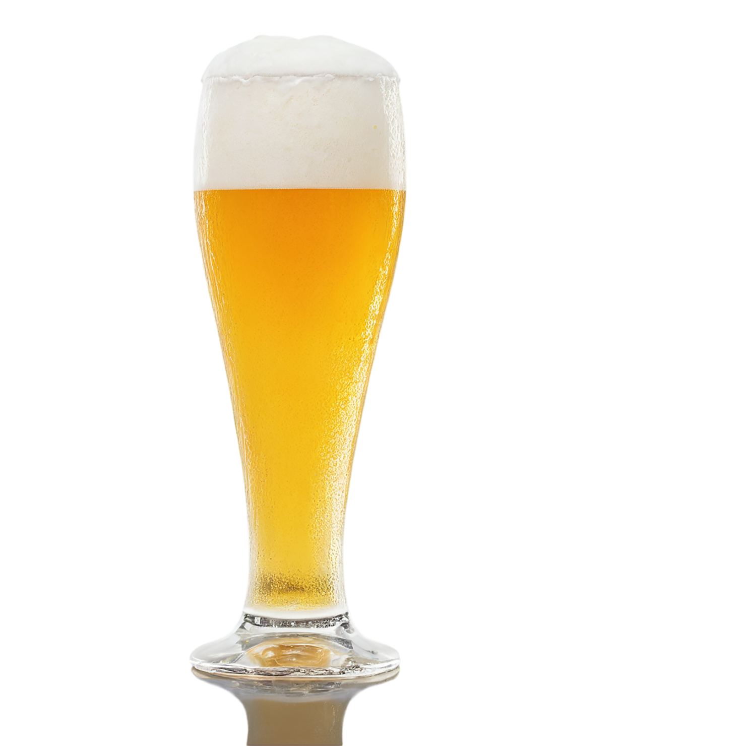 A glass of beer isolated on transparent background #1958