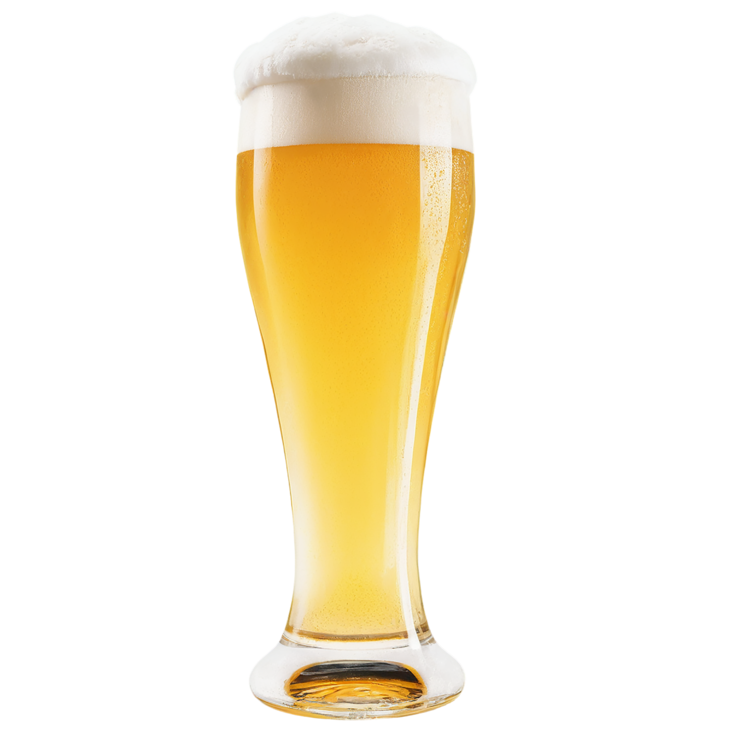 A glass of beer isolated on transparent background #1971