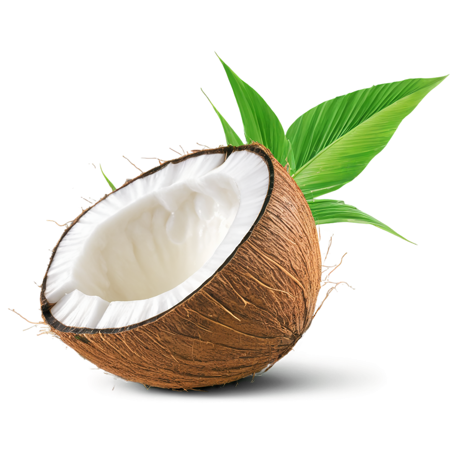 Coconut isolated on transparent background #2026