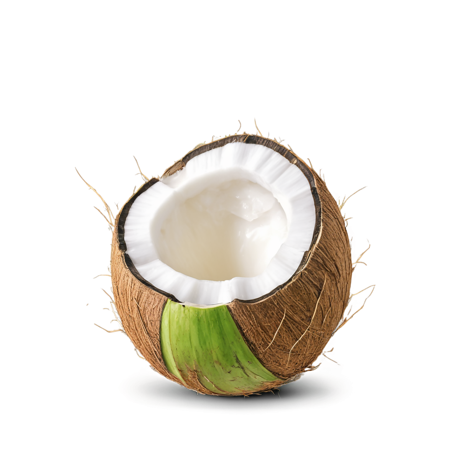 Coconut isolated on transparent background #2036