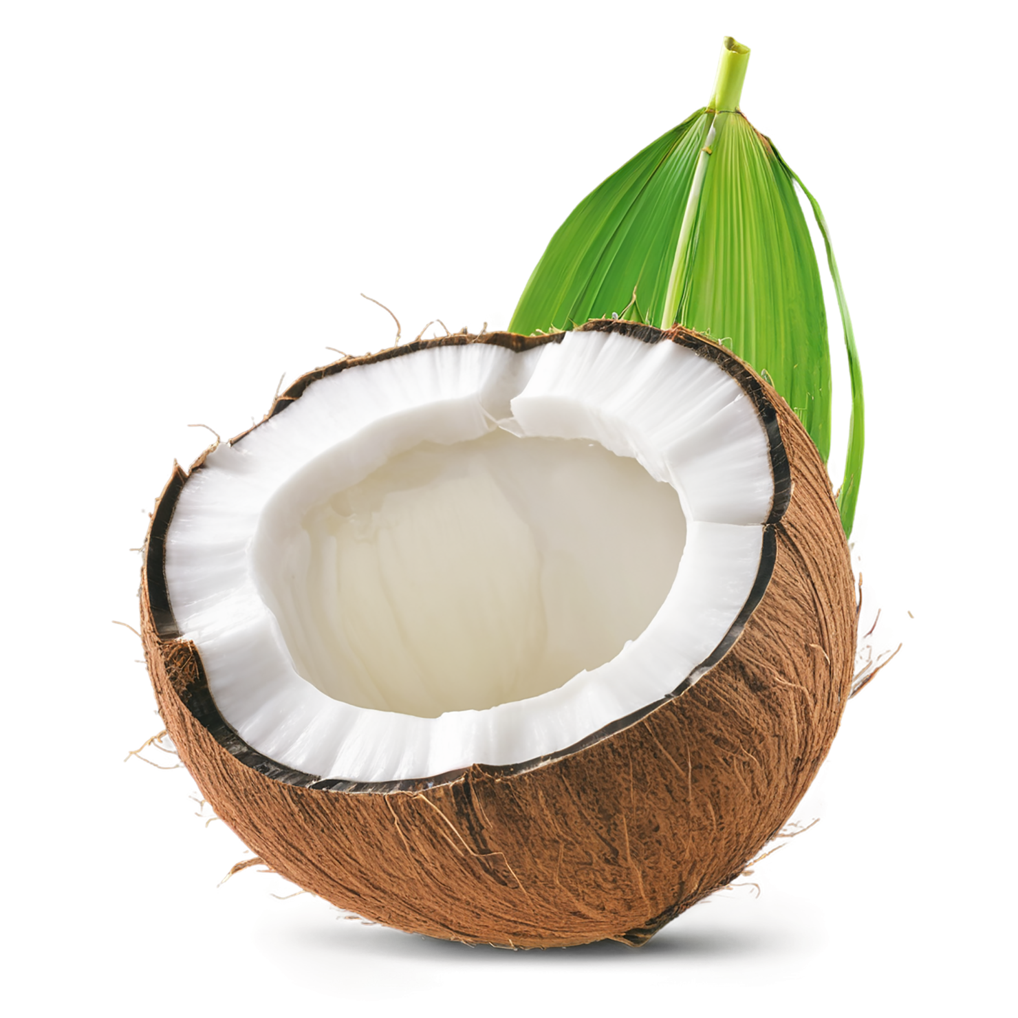 Coconut isolated on transparent background #2037