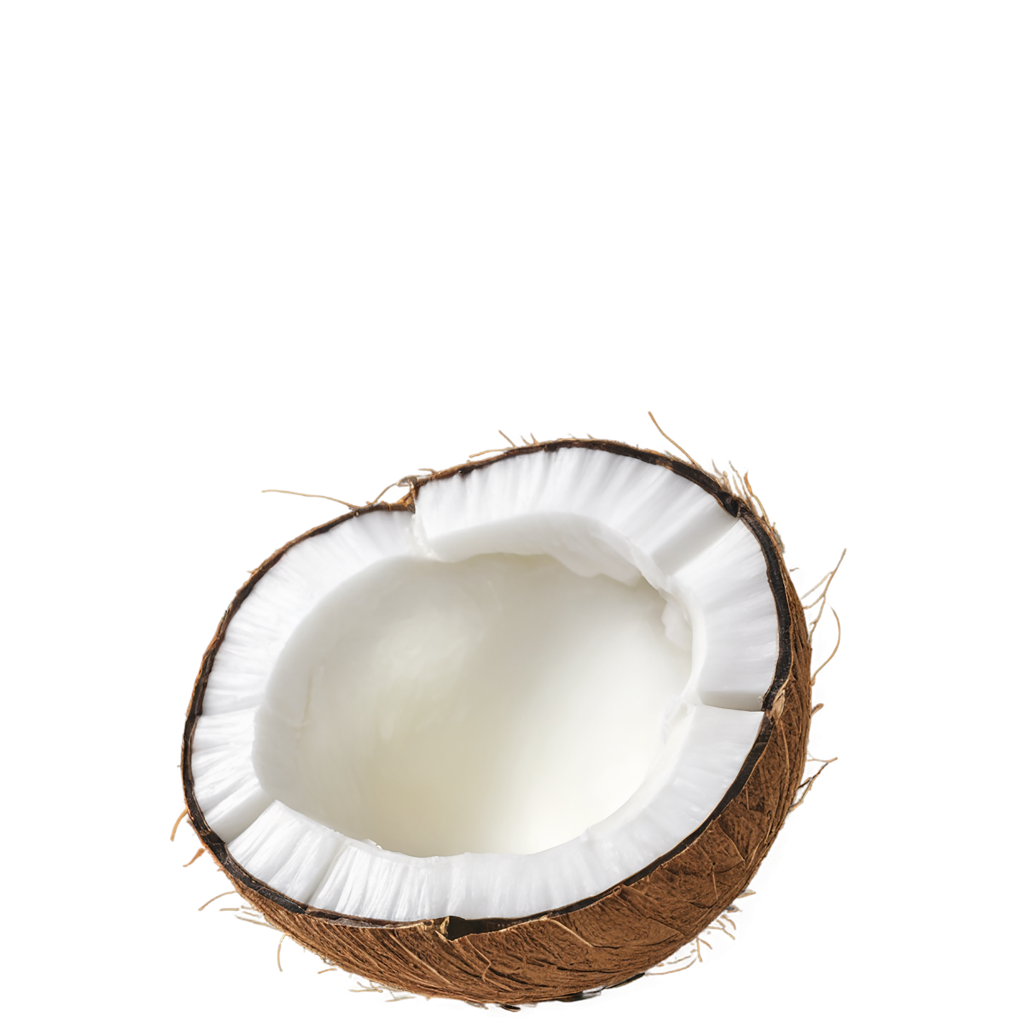 Coconut isolated on transparent background #2038