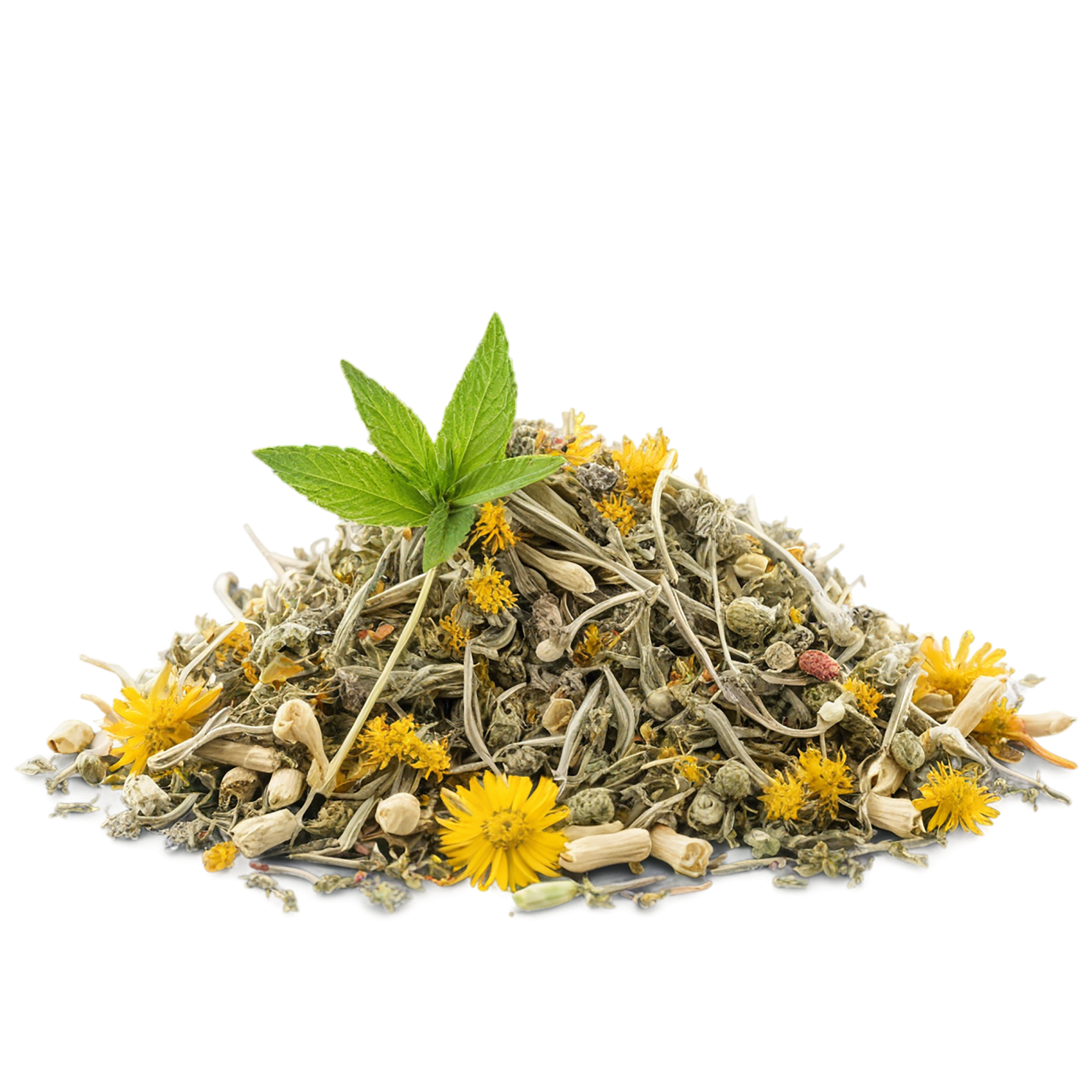 Herbal isolated on transparent background #2183