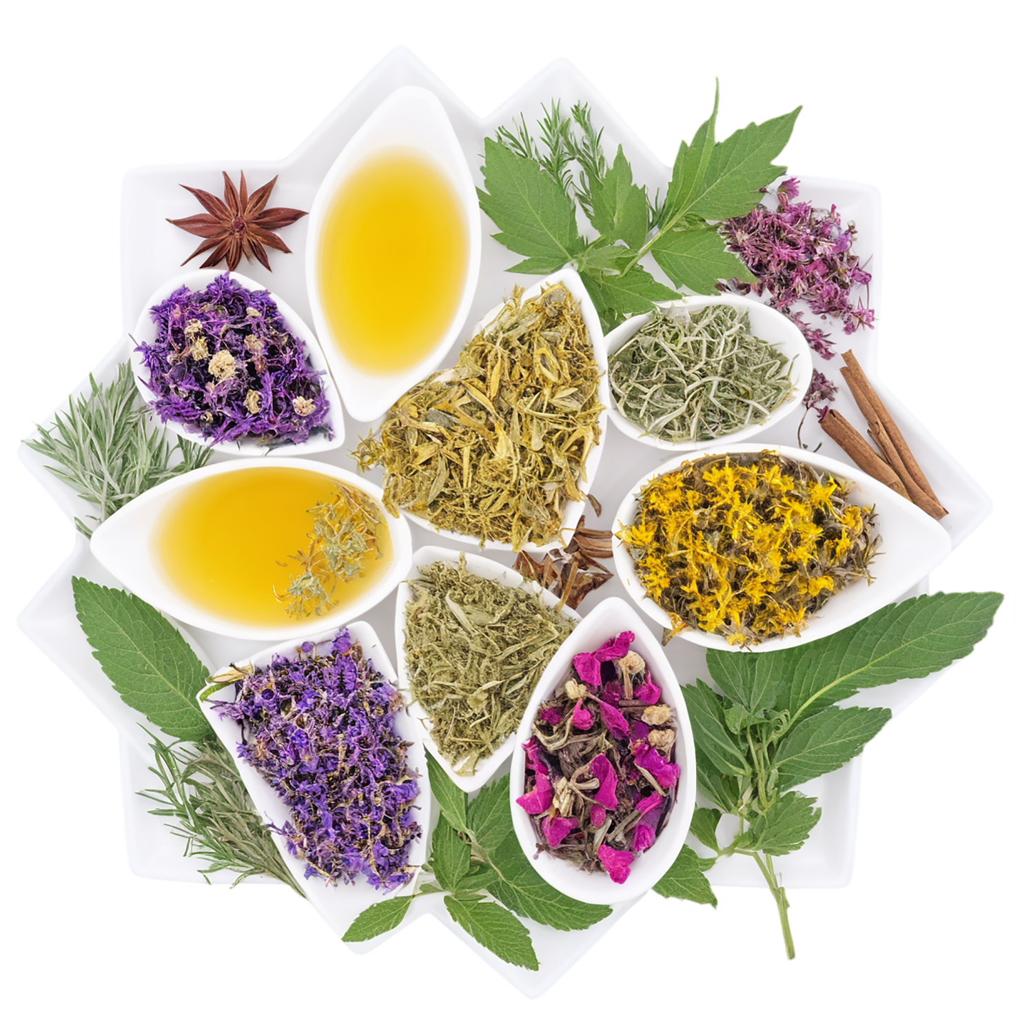 Herbal isolated on transparent background #2185