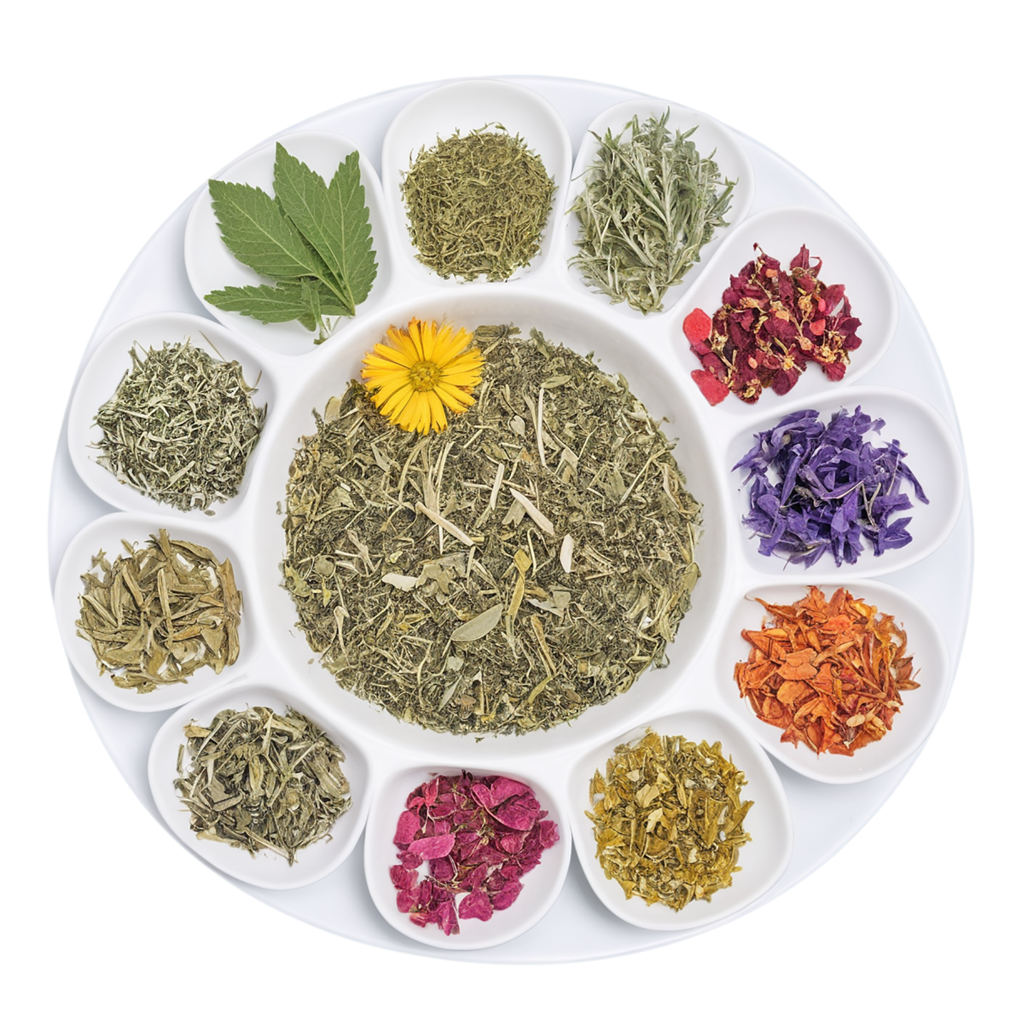 Herbal isolated on transparent background #2186