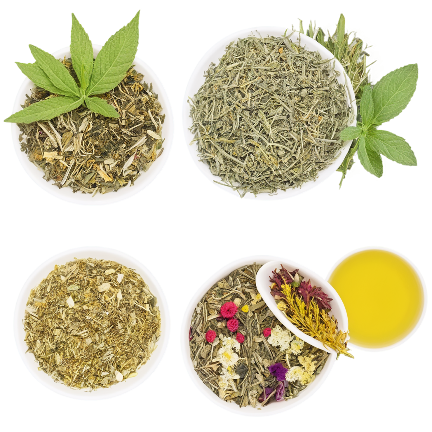 Herbal isolated on transparent background #2190