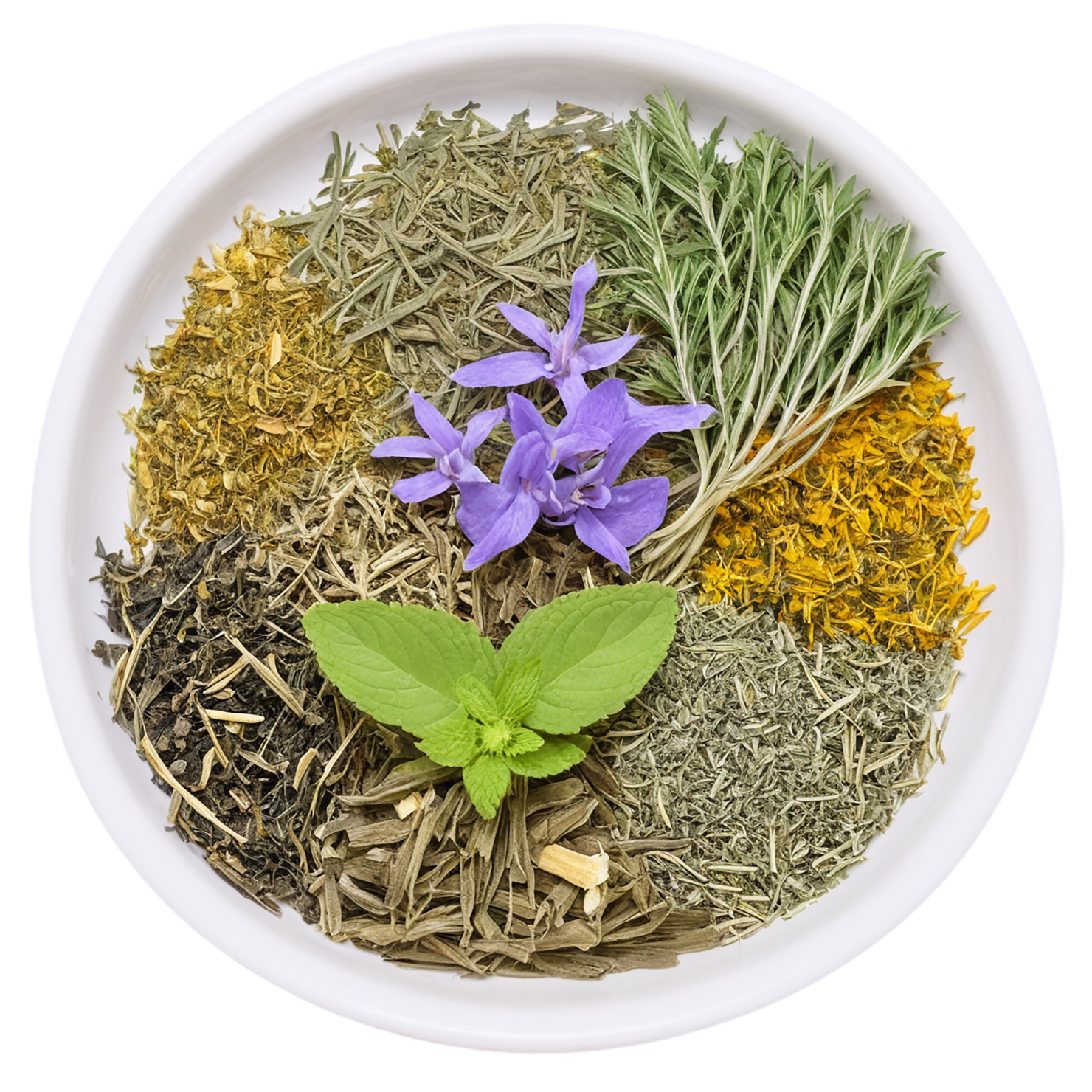 Herbal isolated on transparent background #2193