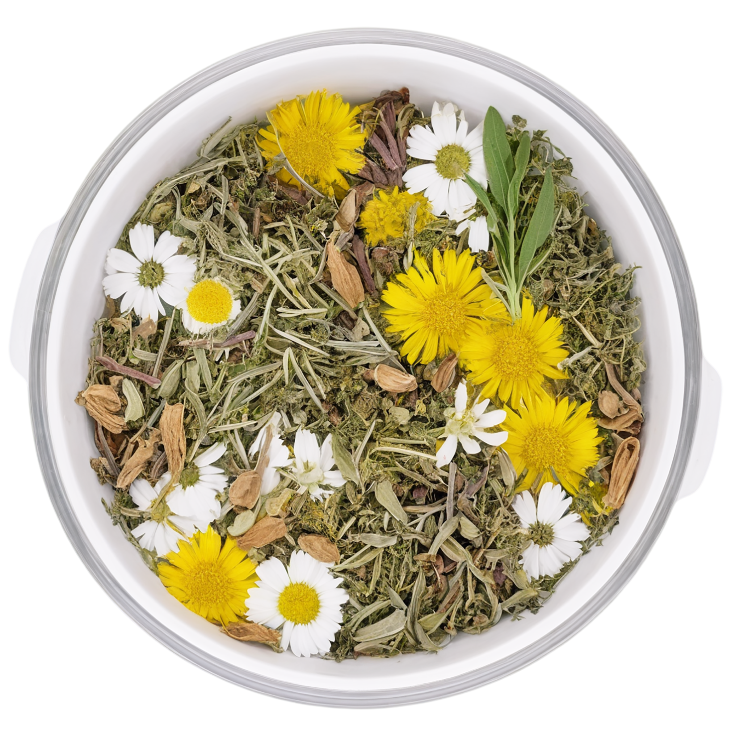 Herbal isolated on transparent background #2195