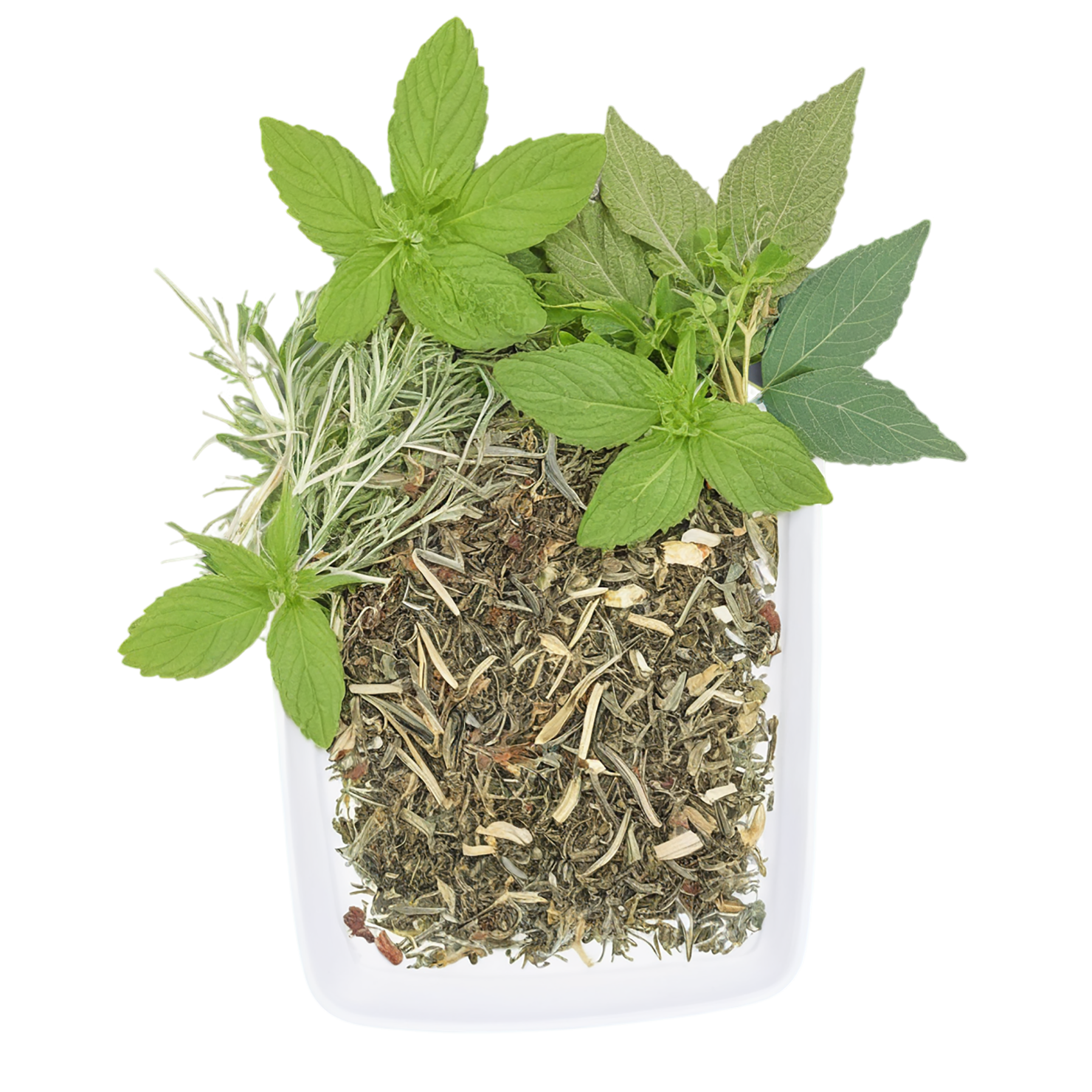 Herbal isolated on transparent background #2196