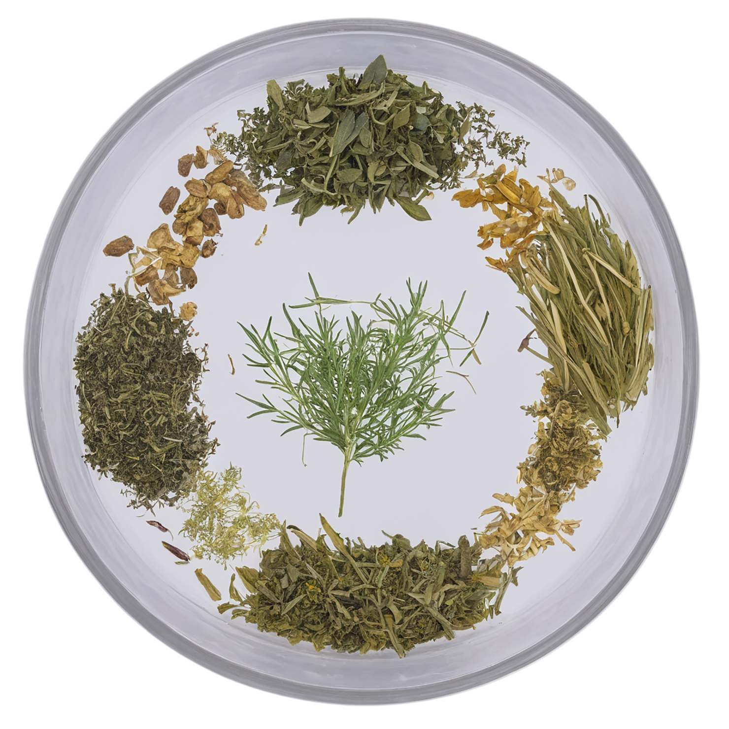 Herbal isolated on transparent background #2197