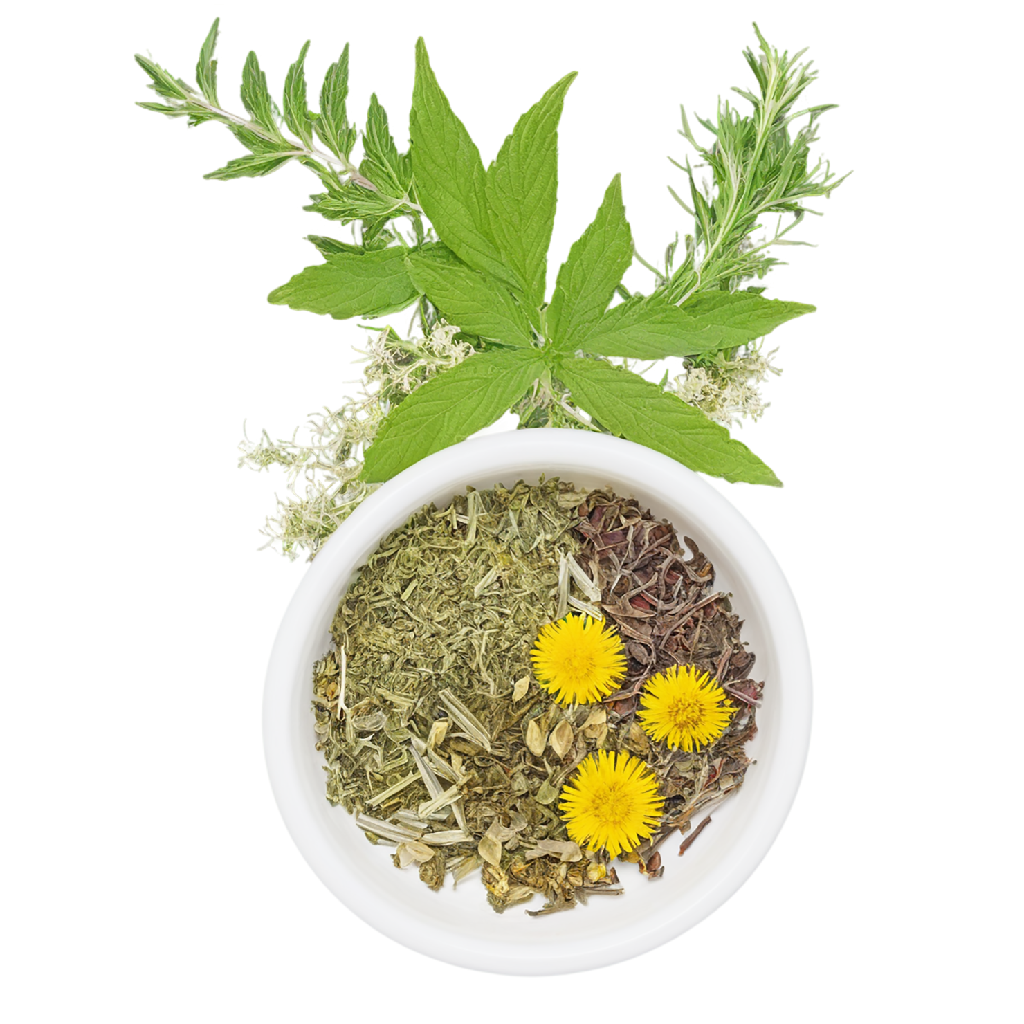 Herbal isolated on transparent background #2199