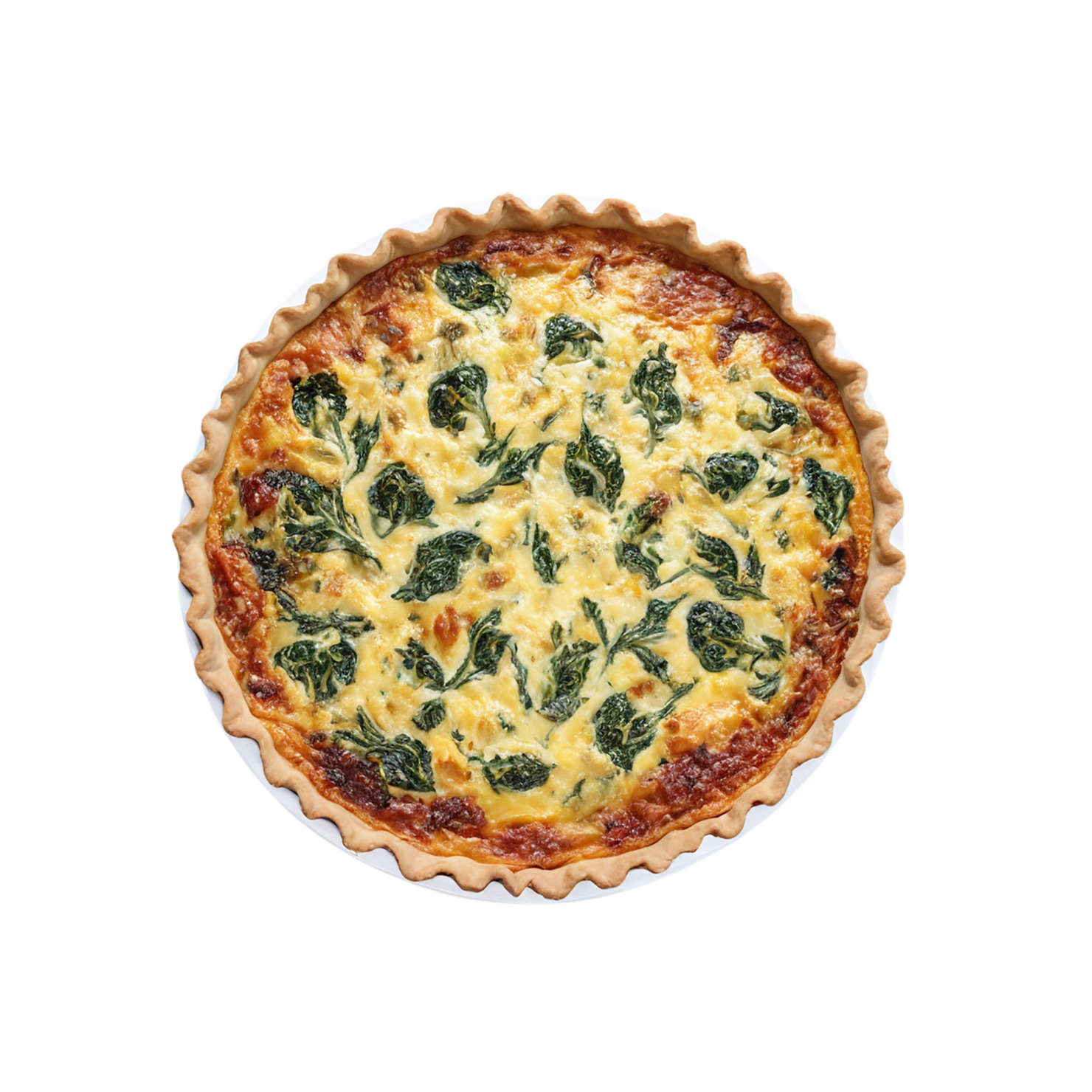 Quiche breakfast foods isolated on transparent background #3618