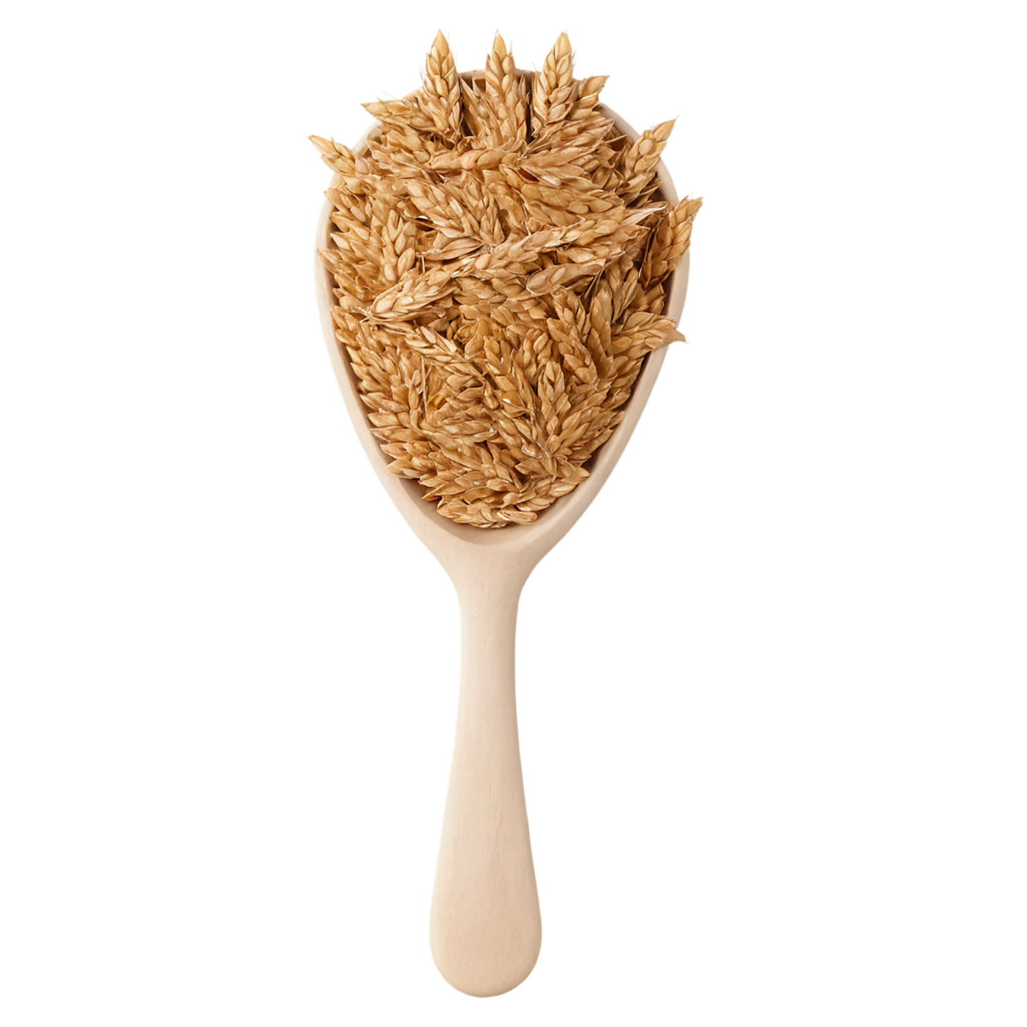 Wheat flakes breakfast foods isolated on transparent background #3698