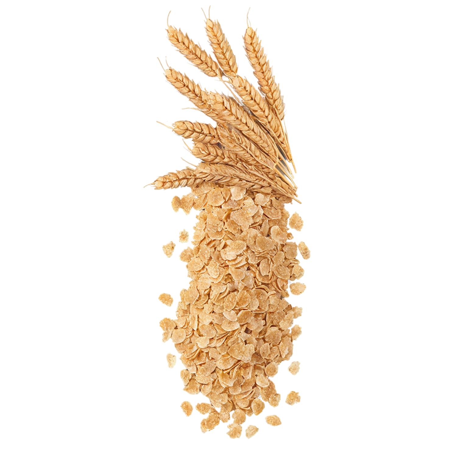 Wheat flakes breakfast foods isolated on transparent background #3707