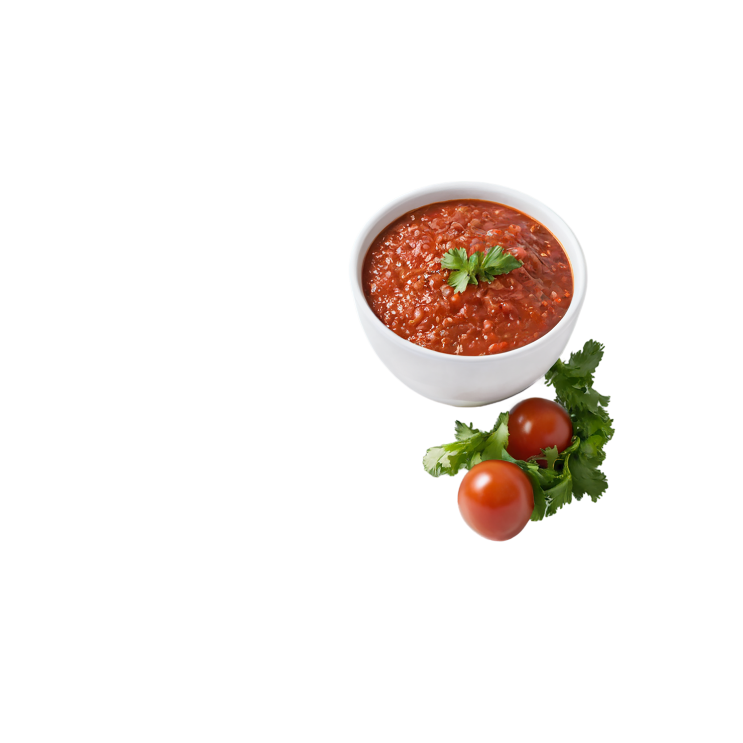 Salsa isolated on transparent background #4006