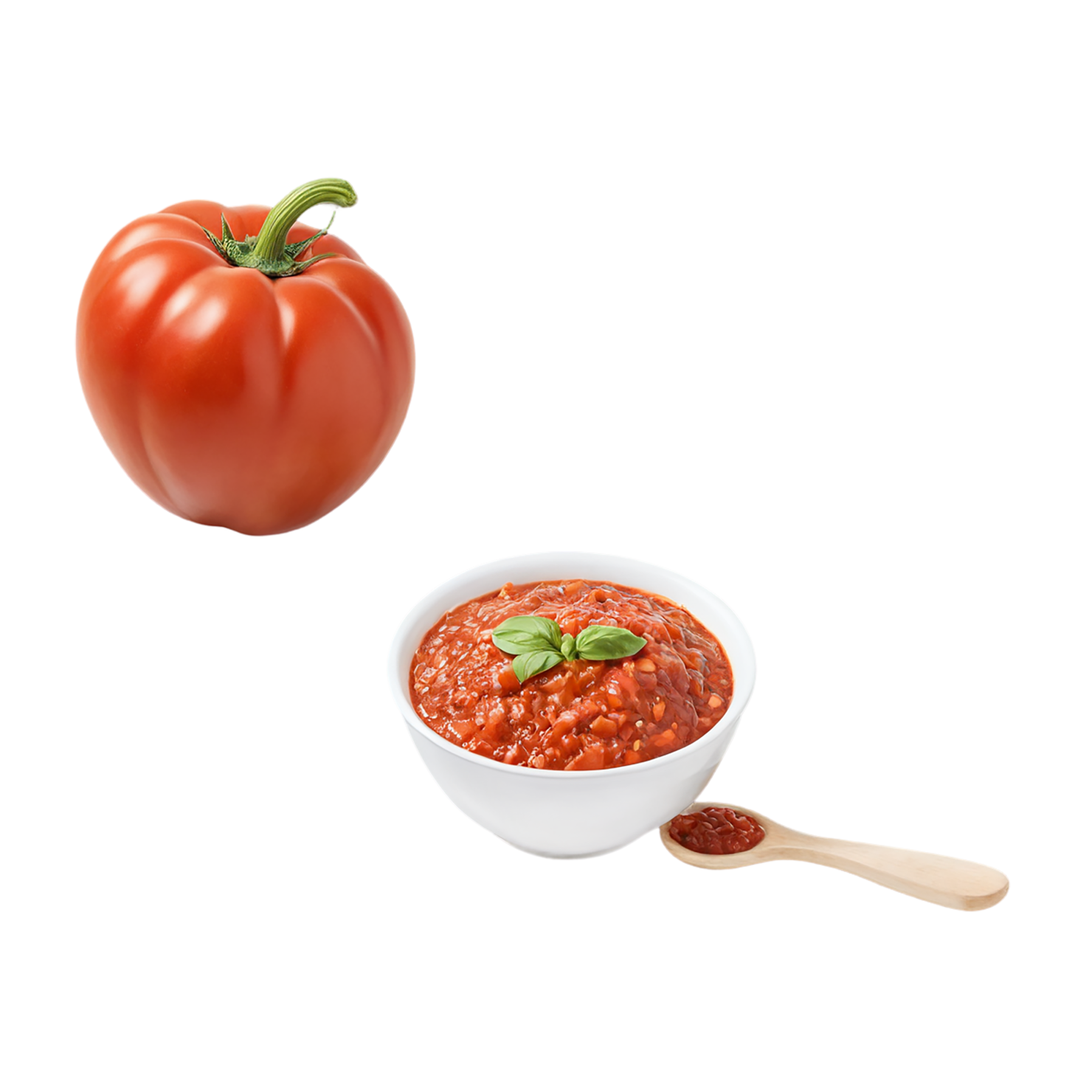 Salsa isolated on transparent background #4008