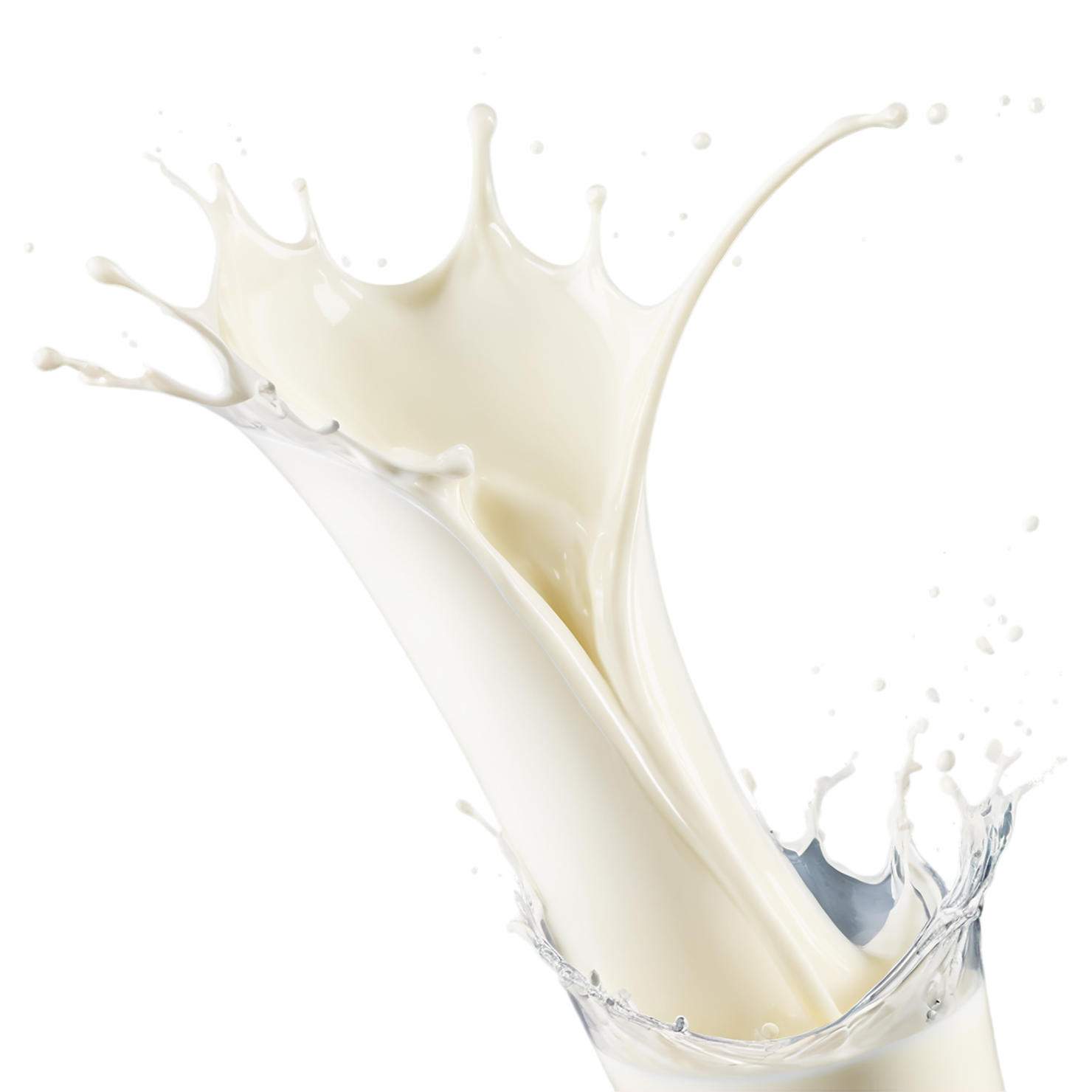 milk splash dairy products isolated on transparent background #4334