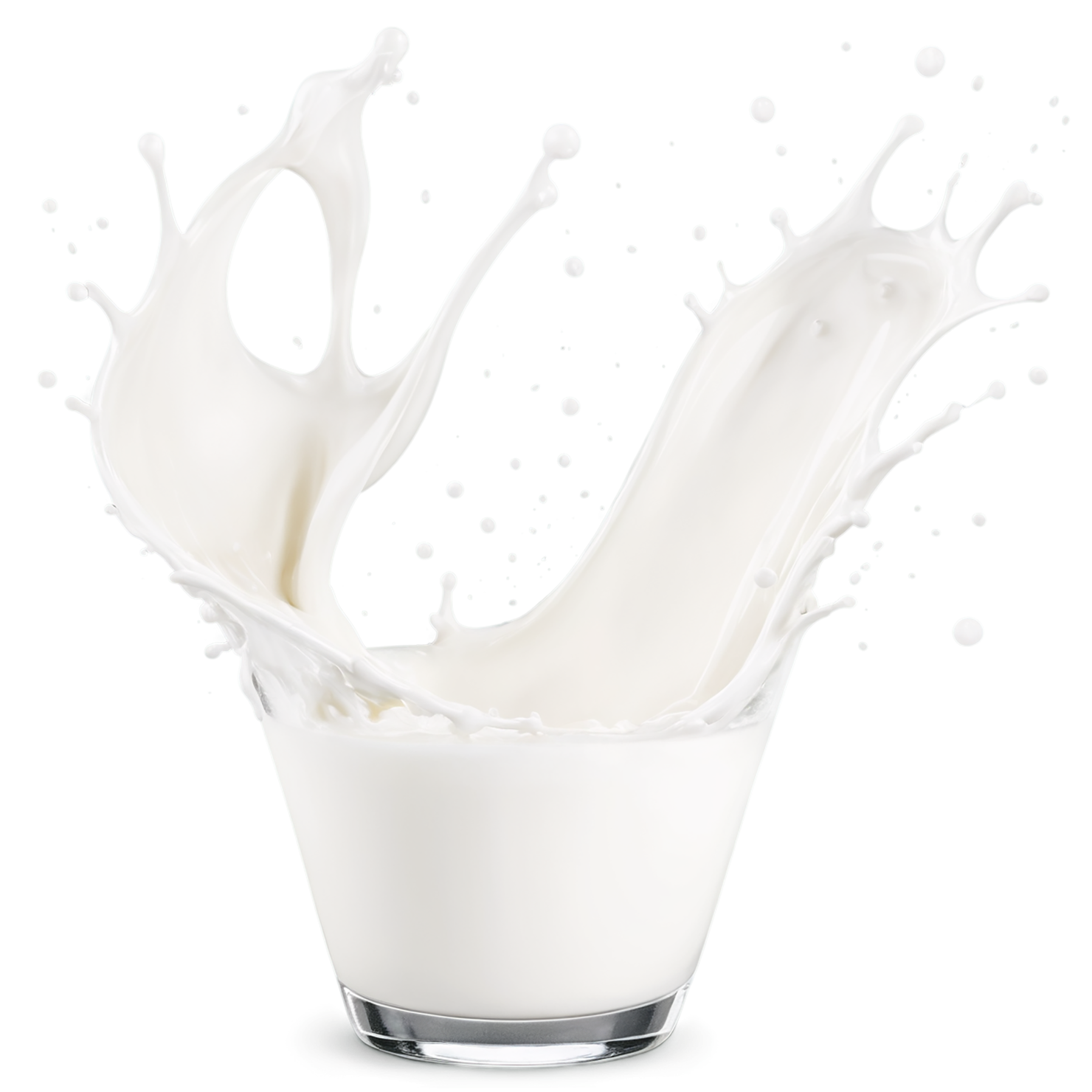 milk splash dairy products isolated on transparent background #4342