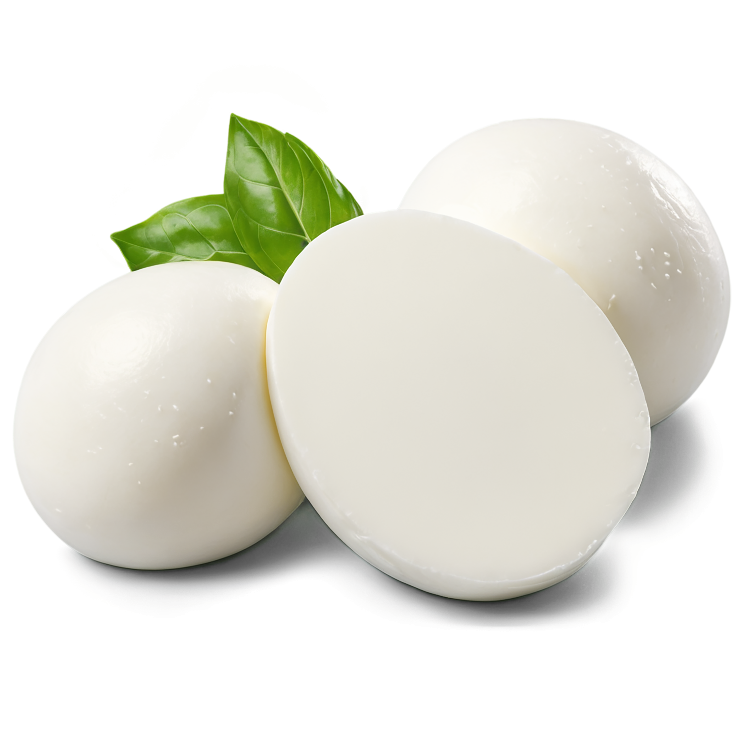 mozzarella dairy products isolated on transparent background #4352
