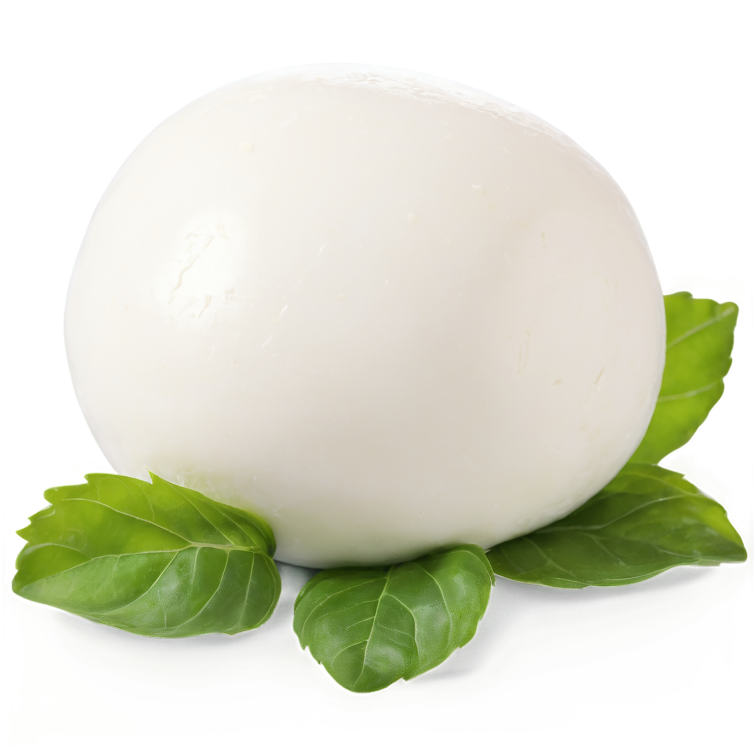 mozzarella dairy products isolated on transparent background #4357