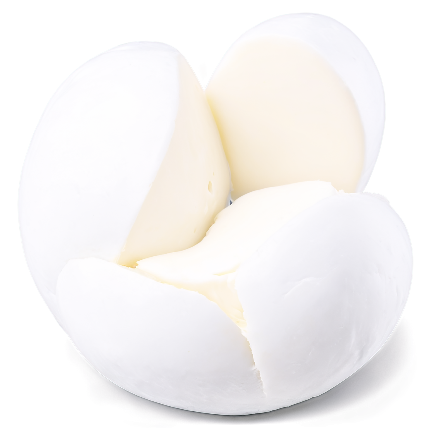 mozzarella dairy products isolated on transparent background #4360