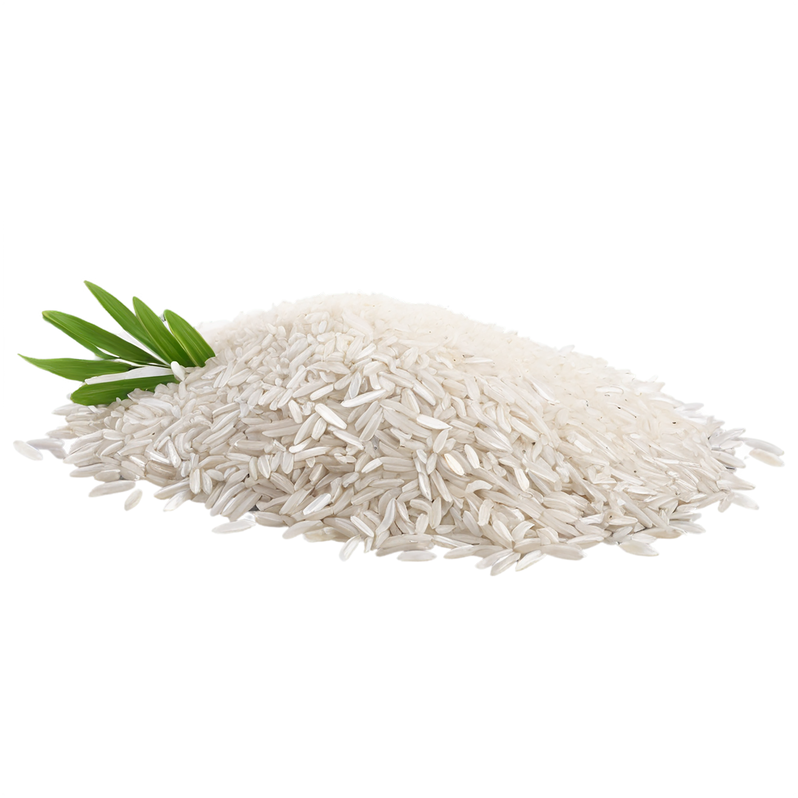Rice grains isolated on transparent background #5918