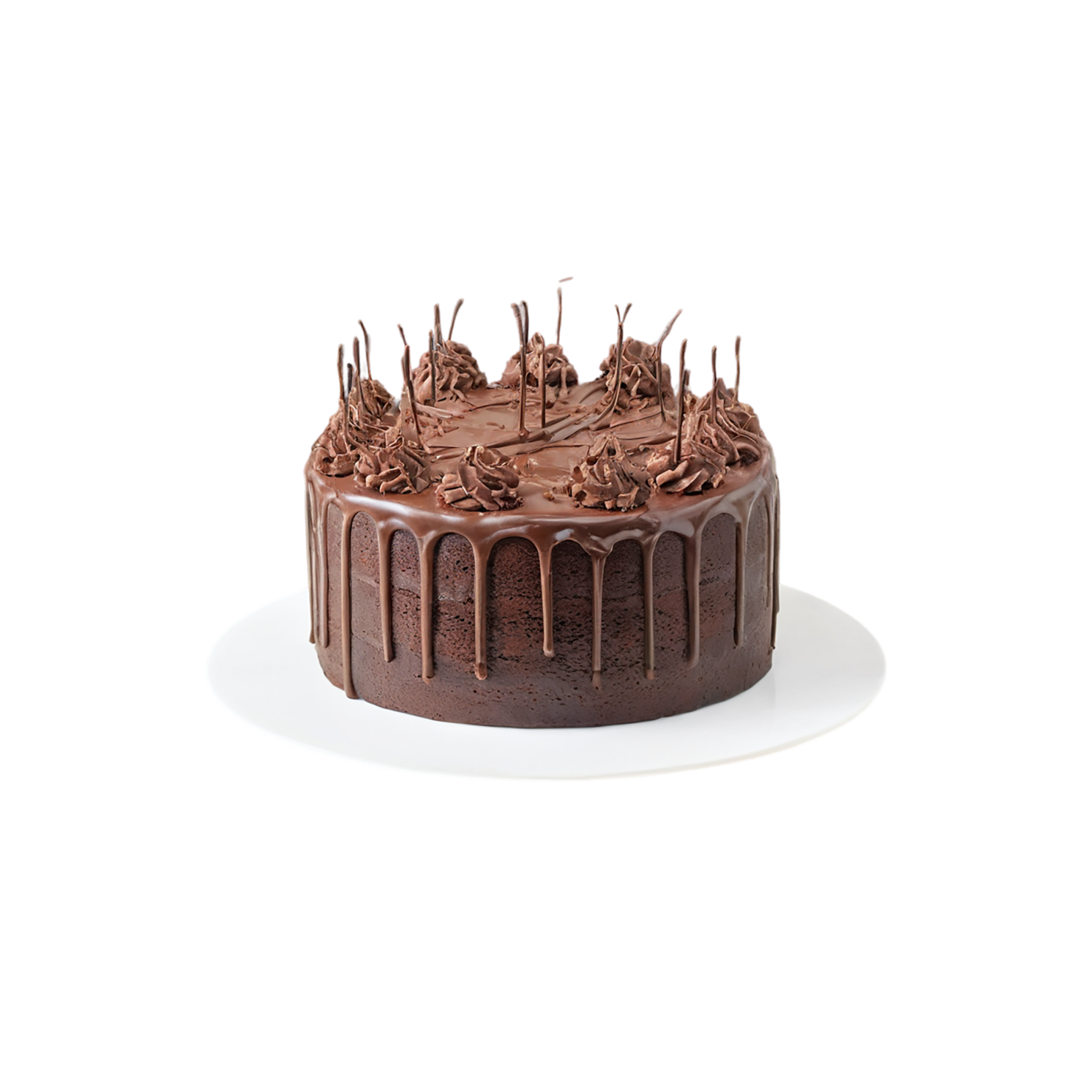 Chocolate cake desserts isolated on transparent background #4567