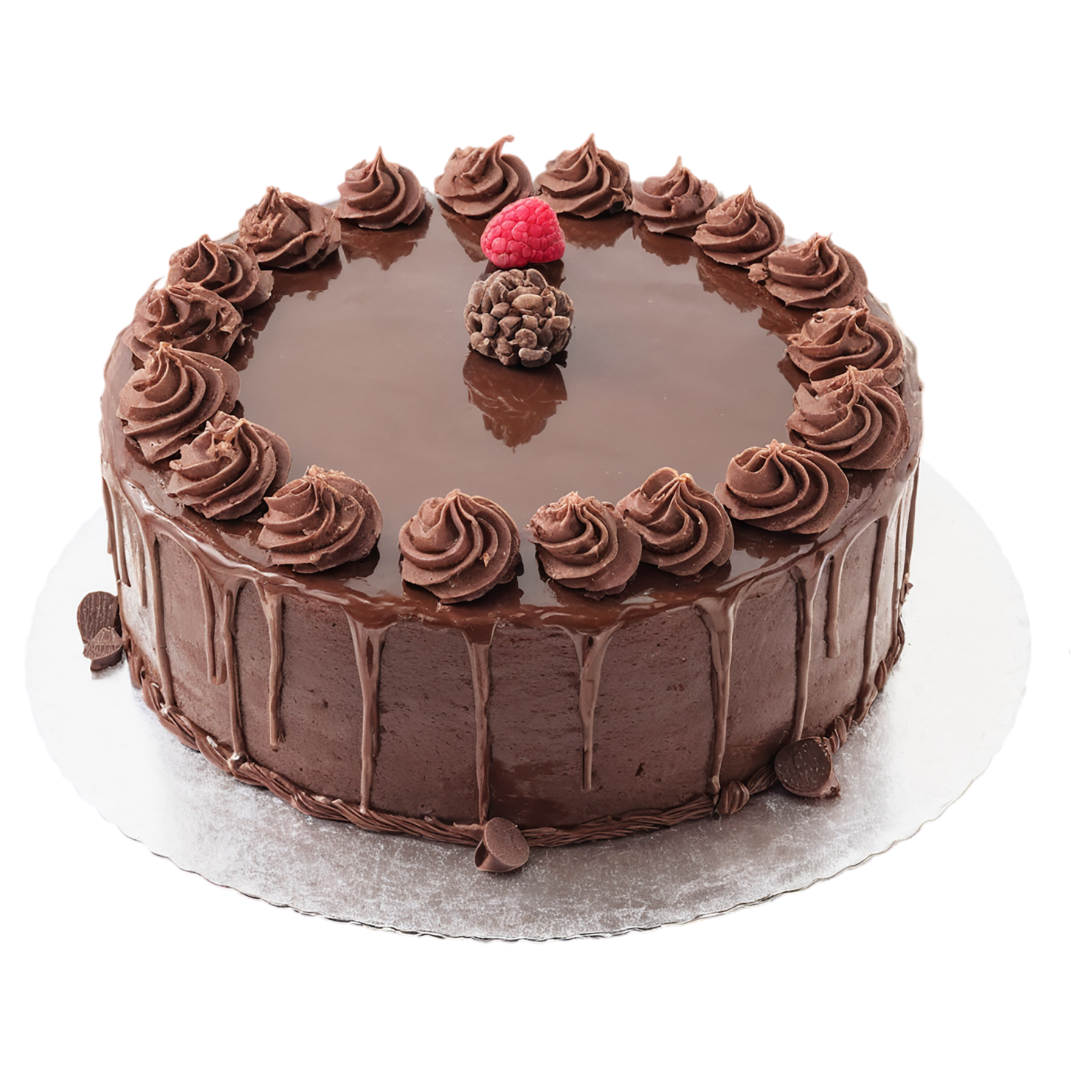 Chocolate cake desserts isolated on transparent background #4583