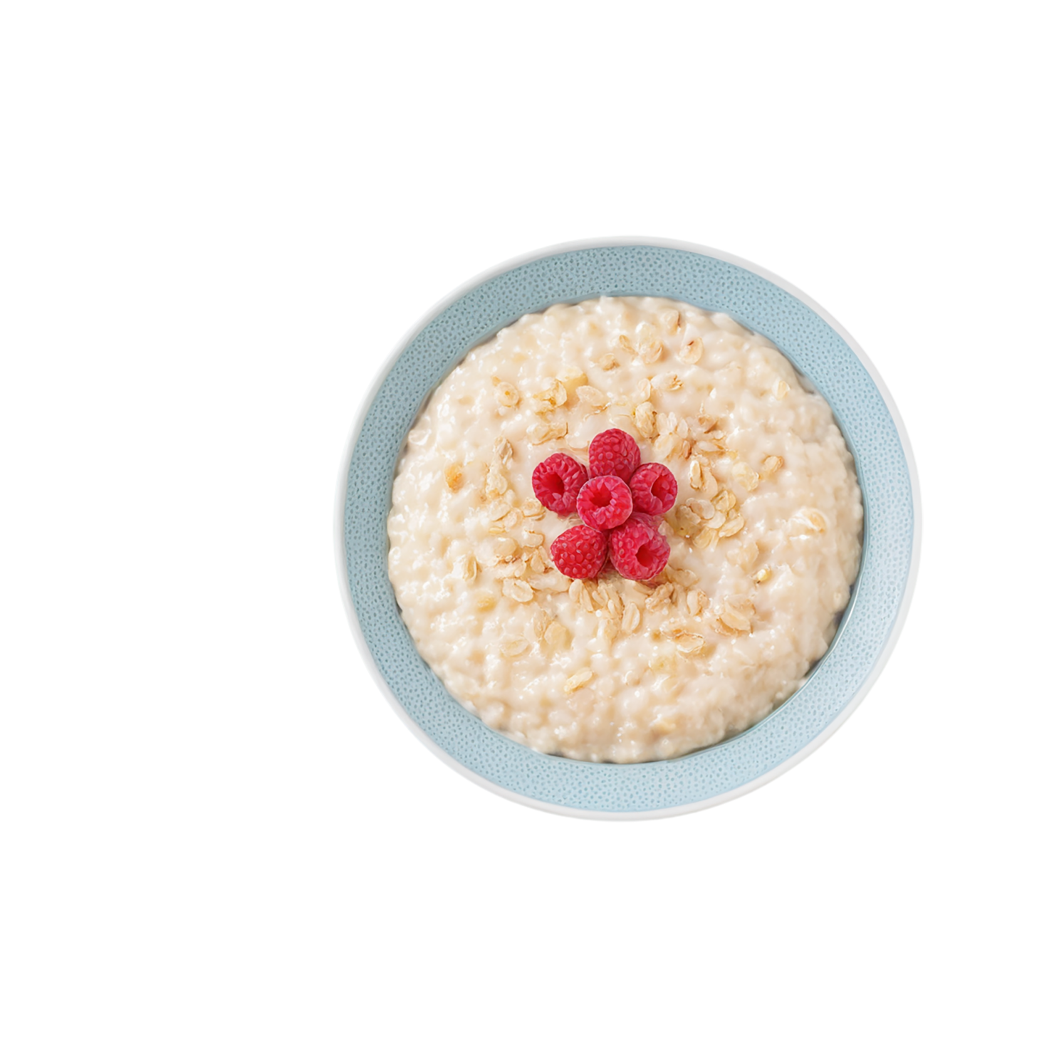 Rice Pudding desserts isolated on transparent background #5097