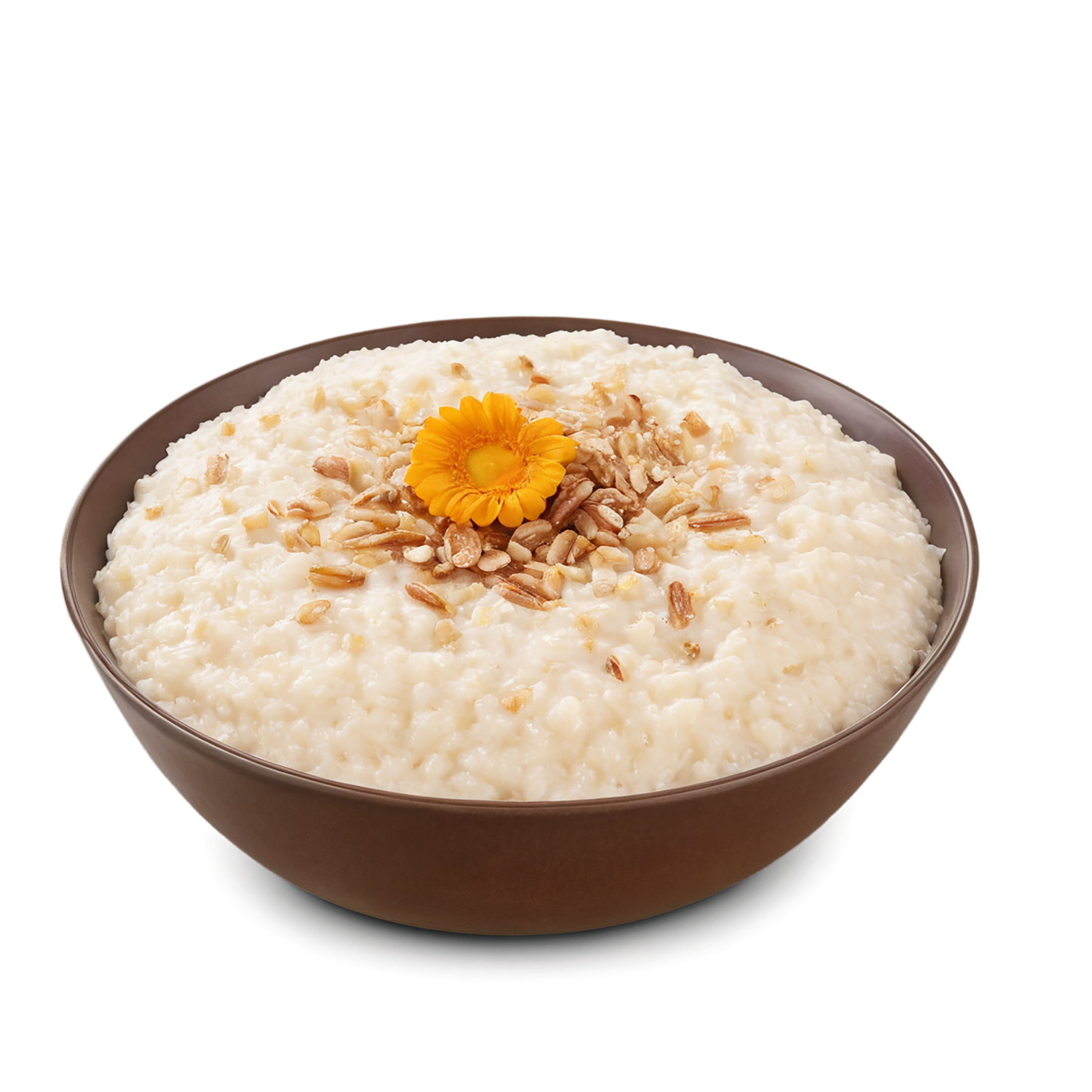 Rice Pudding desserts isolated on transparent background #5111