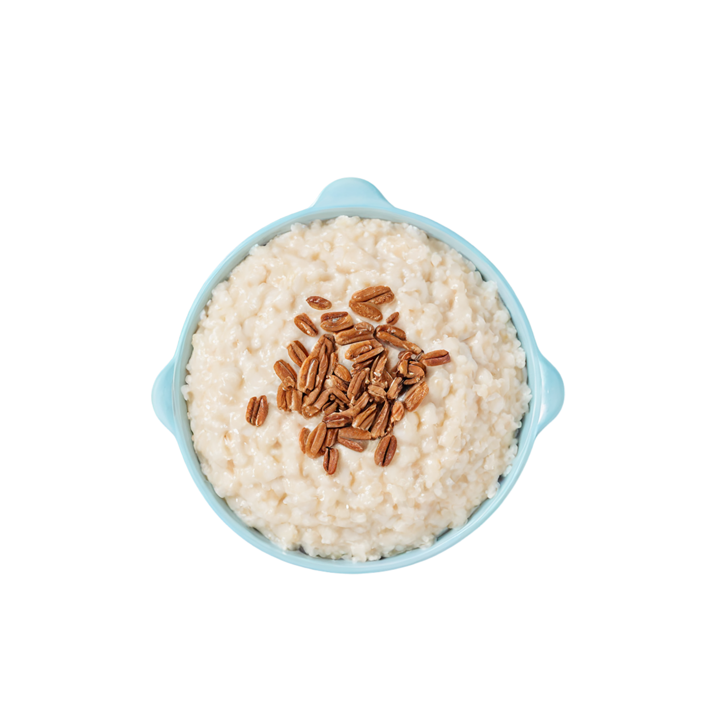 Rice Pudding desserts isolated on transparent background #5116