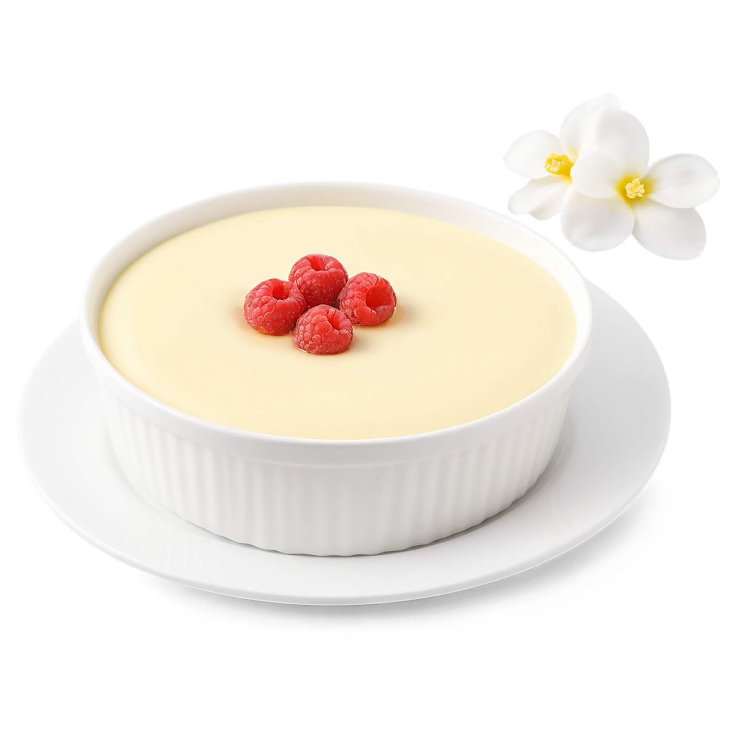 Vanilla Pudding desserts isolated on transparent background #5303