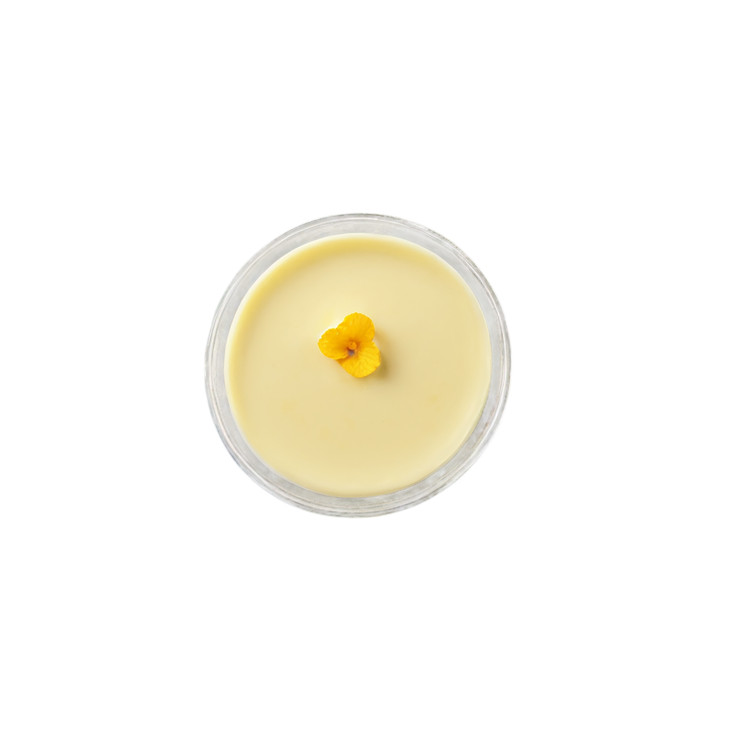 Vanilla Pudding desserts isolated on transparent background #5308