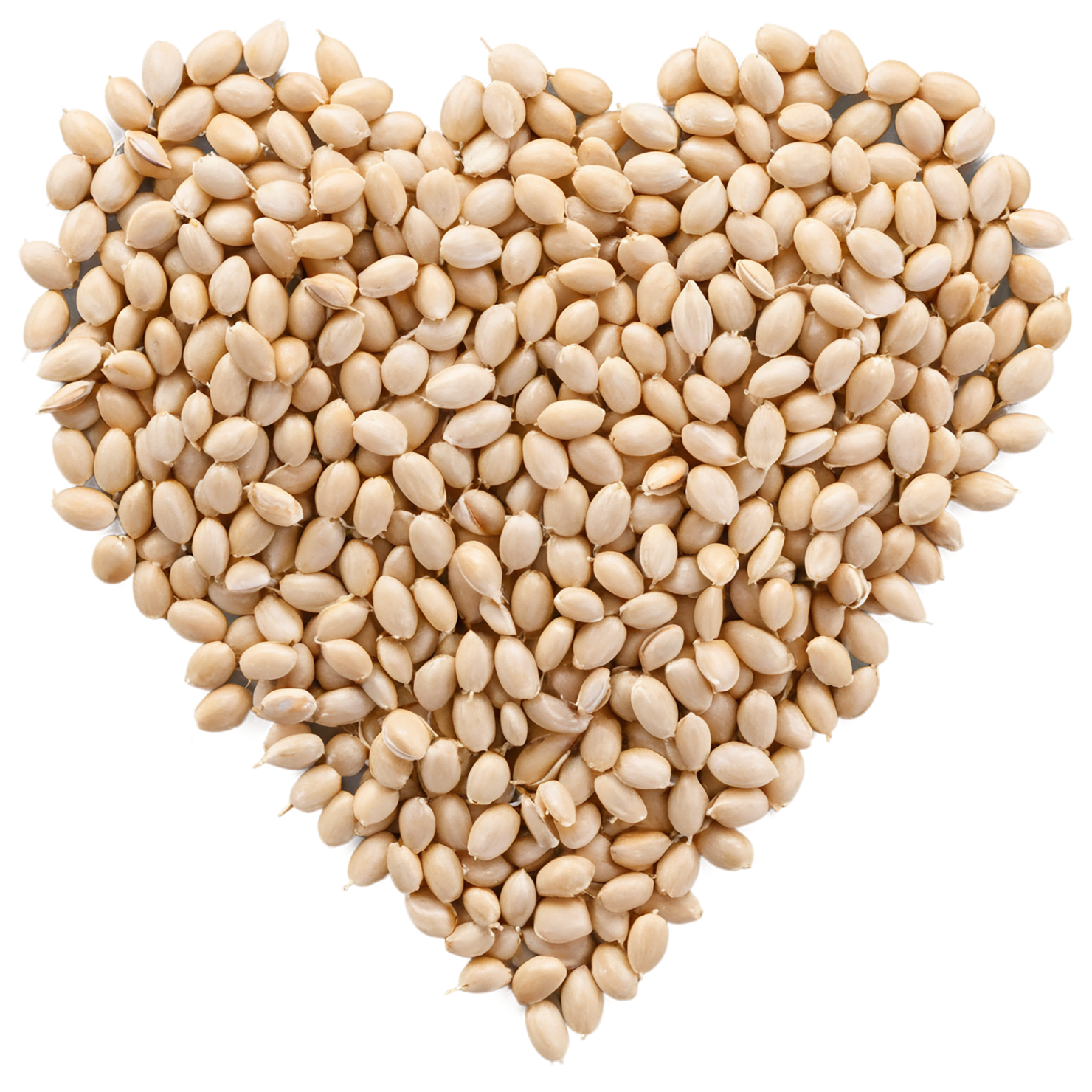 Wheat grains isolated on transparent background #5321